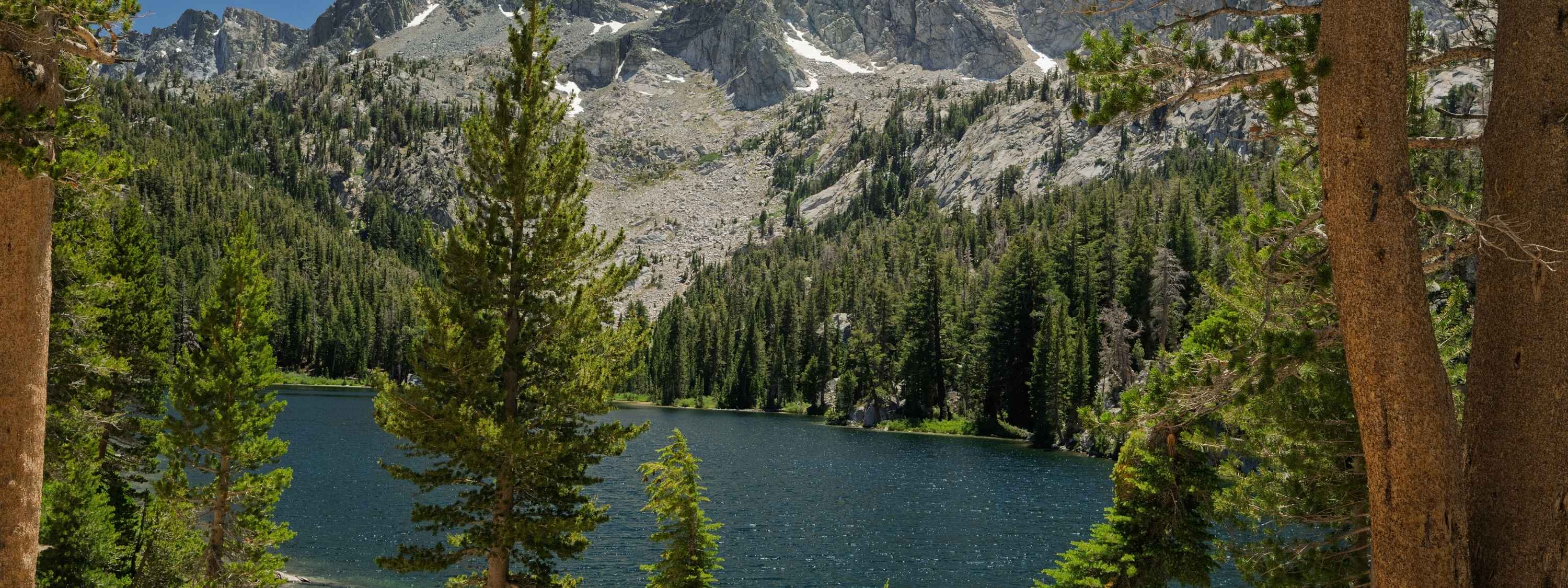 Crystal-clear TJ Lake surrounded by towering granite peaks and alpine pine forest in California's Eastern Sierra under a clear summer sky, photographed by Abigail Diane Photography.