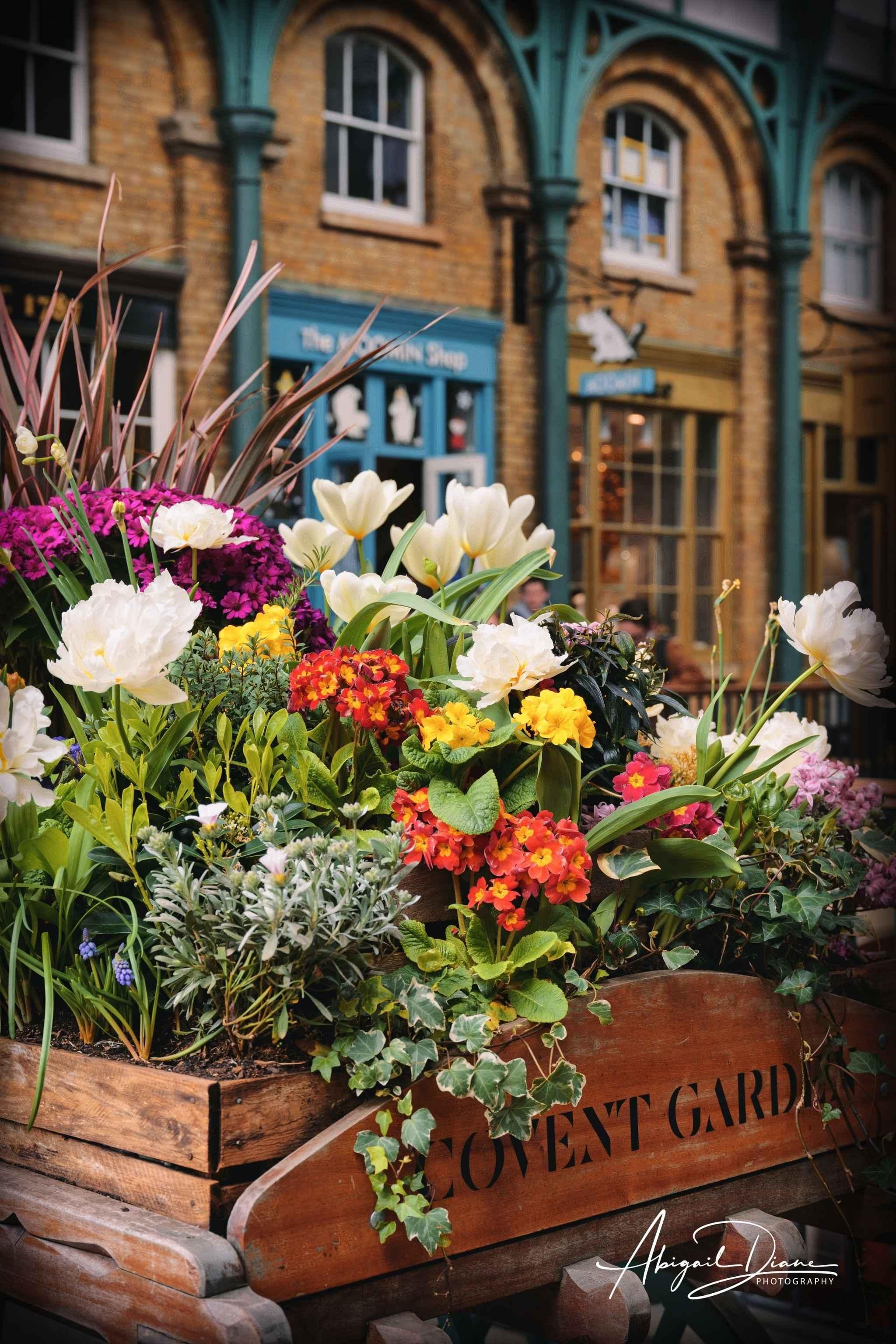 Colorful spring flowers blooming in a vintage wooden planter at Covent Garden Market in London, surrounded by historic architecture and charming storefronts. Taken by photographer Abigail Diane Photography.