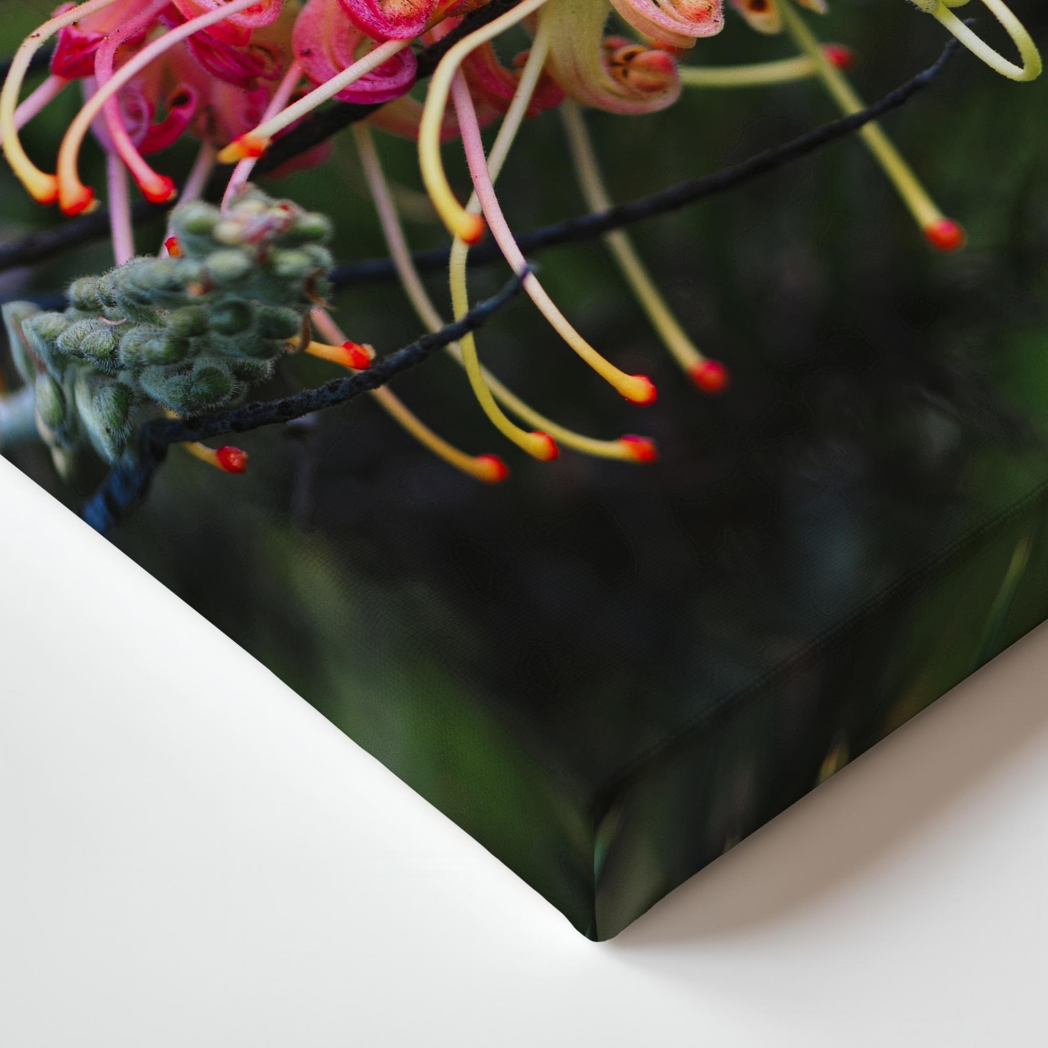 A close-up of a gracefully unfolding canvas print showing pink blossoms with long yellow-orange stamens and green leaves against a dark blurred background, photographed at an angle on a white surface.