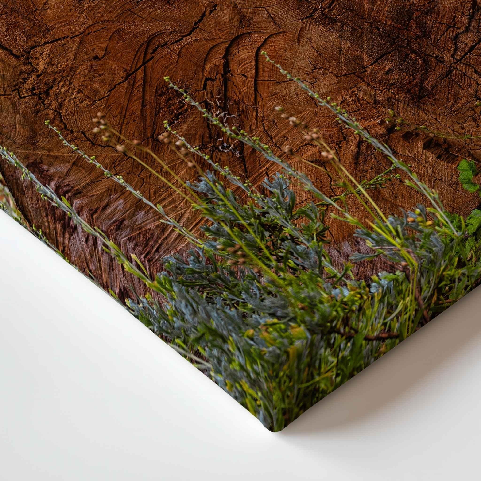 A close-up of nots of Time canvas art piece showing green plants and small flowers growing along the edge of a textured brown wood surface, photographed against a clean white background. Taken by Abigail Diane Photography