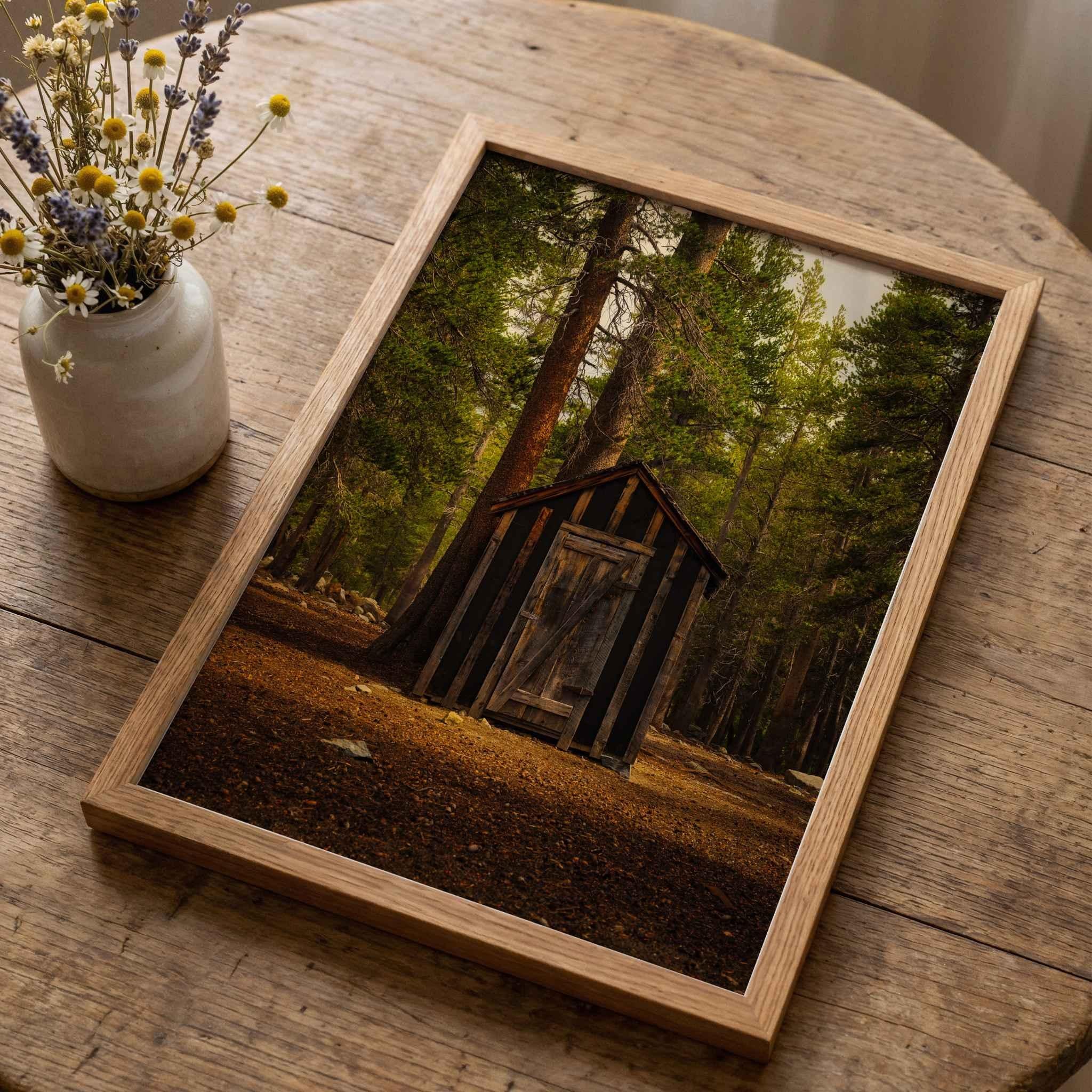 Rustic Remnant Among the Trees | Fine Art Print