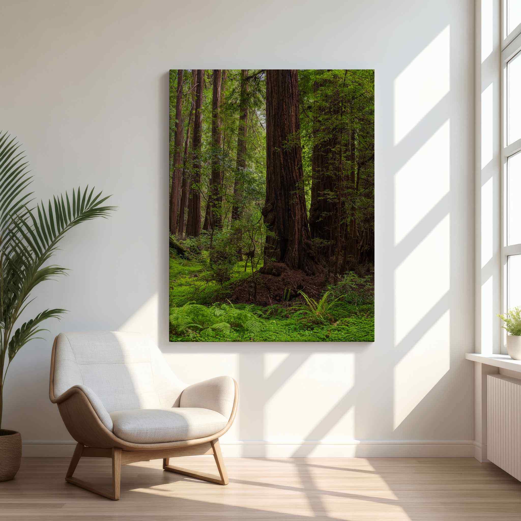 Large canvas of Ancient Stillness Among the Redwoods by Abigail Diane Photography showcased in a modern minimalist living room with a sculptural cream accent chair, natural wood flooring, oversized windows, soft sunlight, and lush indoor greenery, bringing tranquil California redwood forest wall art into a serene contemporary home.
