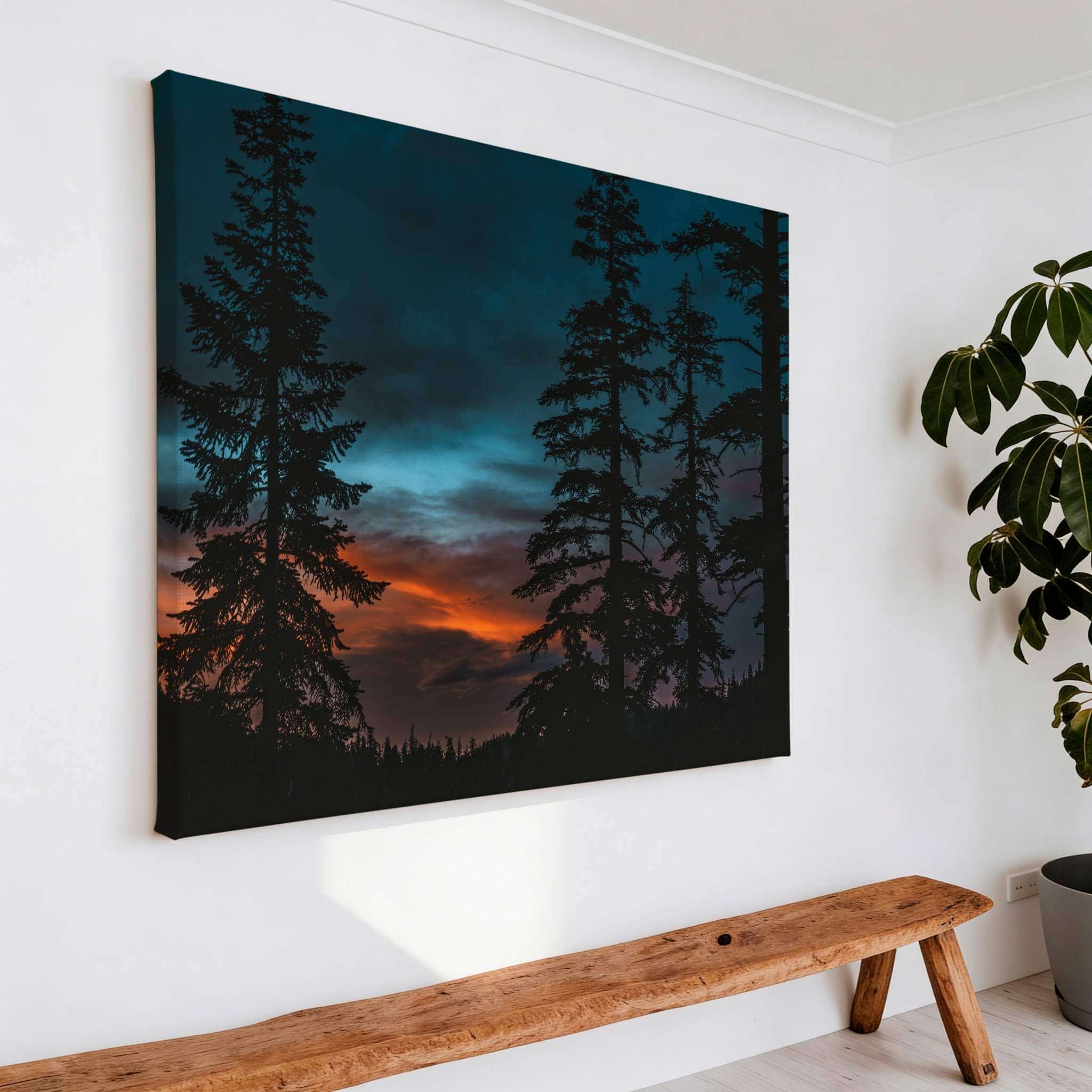 Gallery wrapped canvas of Blue Hour Among the Pines displayed on a modern white wall, featuring silhouetted pine trees at blue hour in Mammoth Lakes, California. Fine art wall decor by Abigail Diane Photography.