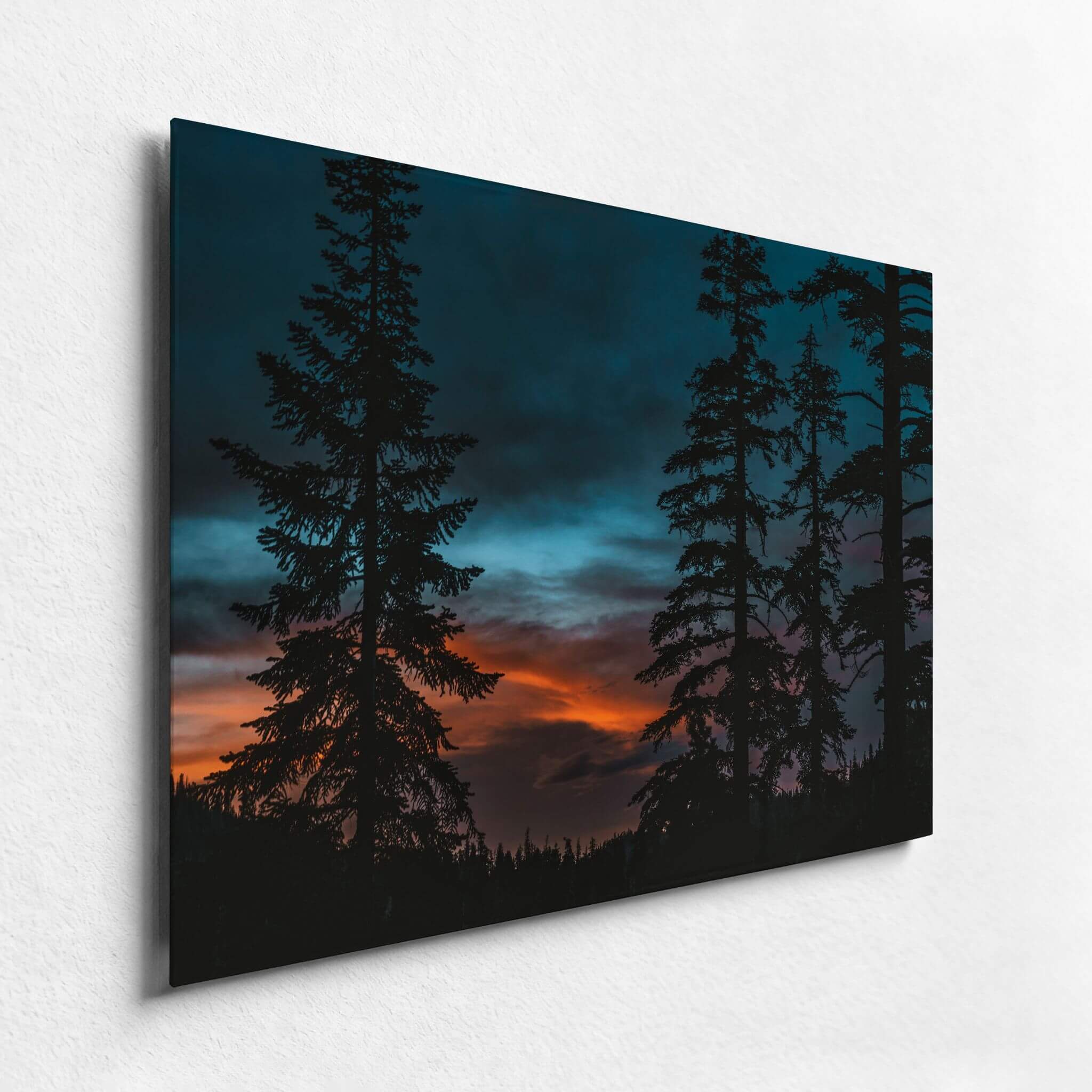 Blue Hour Among the Pines HD metal print displayed on a bright gallery wall, highlighting silhouetted pine trees against a vibrant blue hour sunset sky.