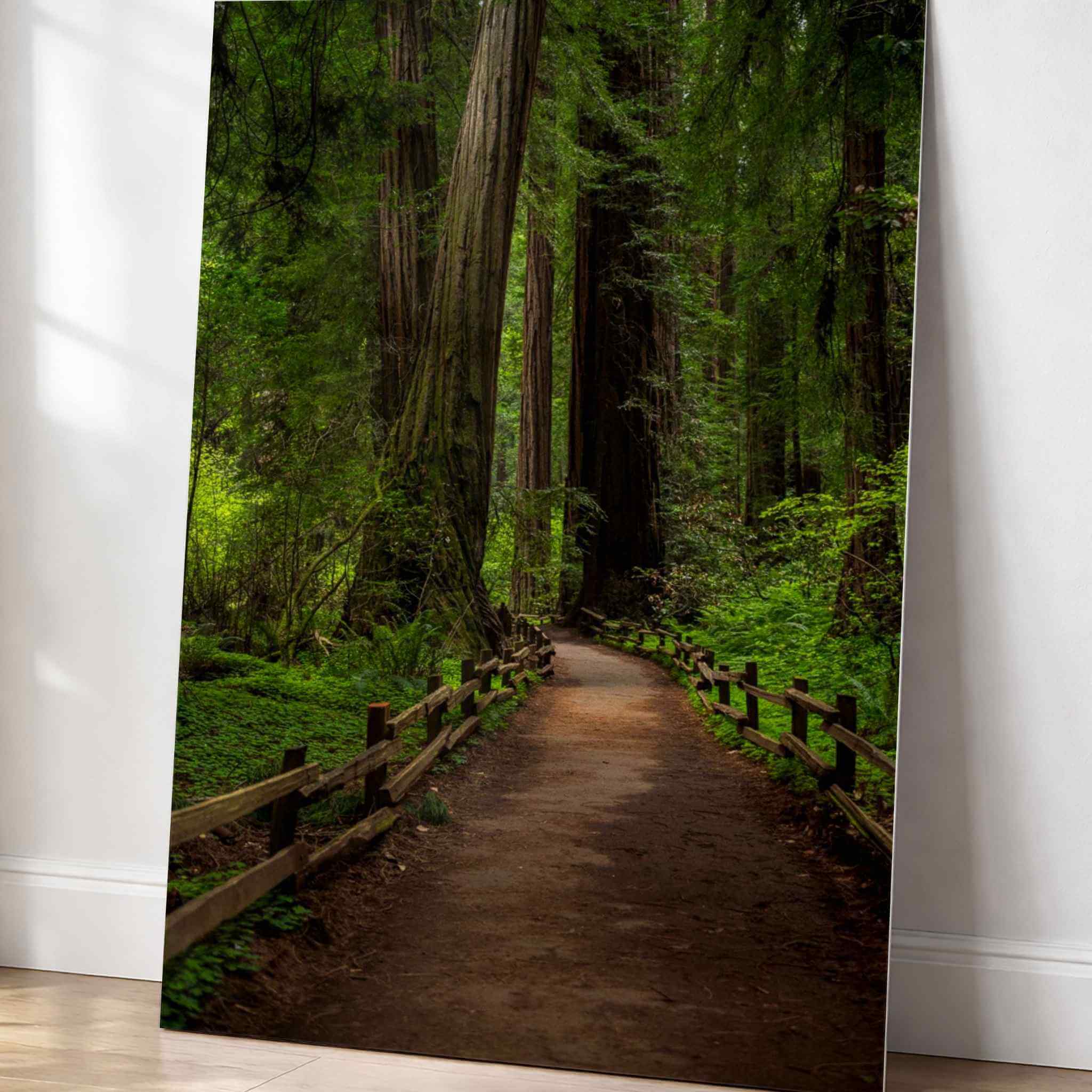 Cathedral of Giants metal print by Abigail Diane Photography leaning against a wall, featuring a tranquil redwood forest path in Muir Woods, California.
