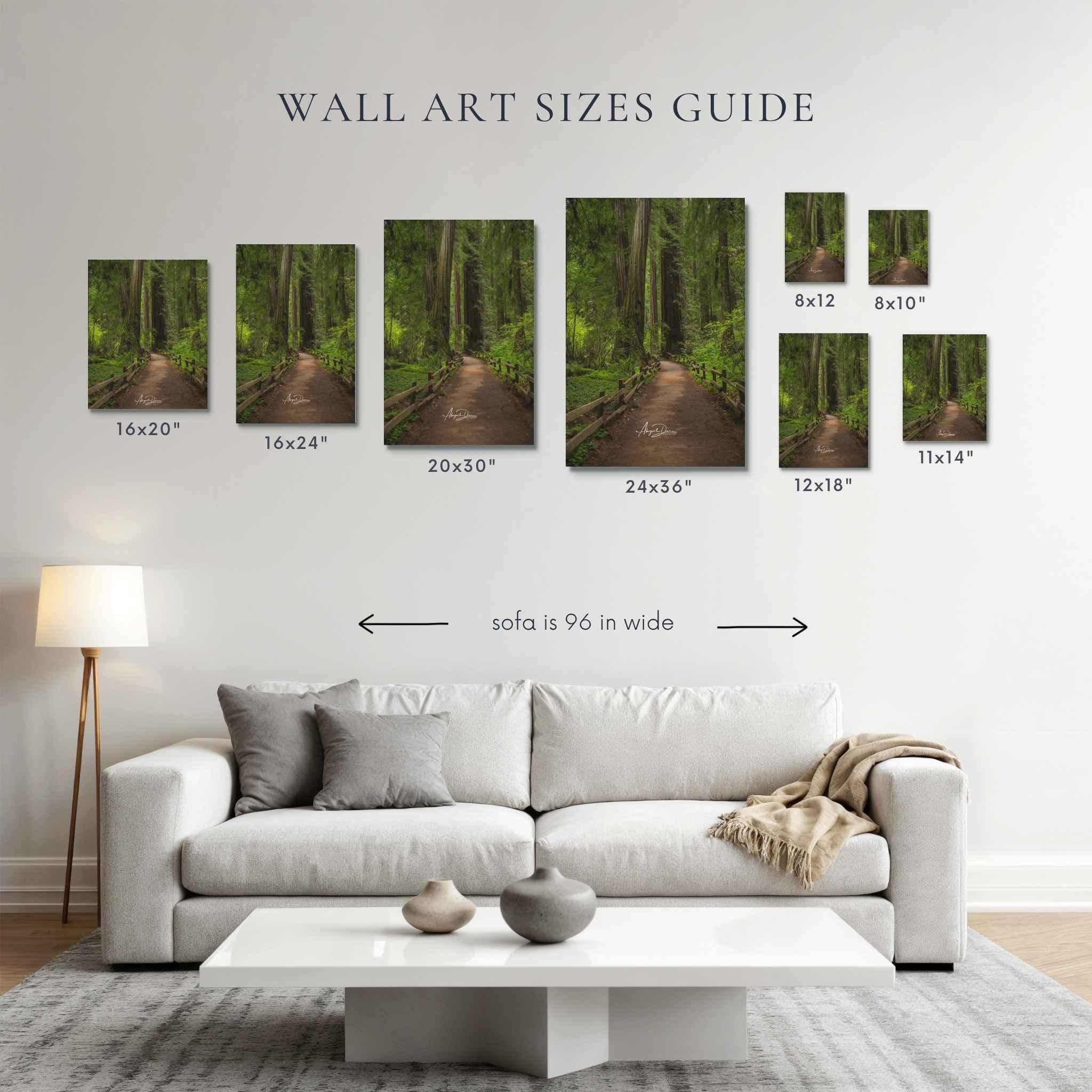 Size comparison chart featuring Cathedral of Giants, a Muir Woods California redwood forest fine art photography print, displayed above a 96-inch sofa to help customers visualize wall art sizes from 8x10 to 24x36 inches by Abigail Diane Photography.