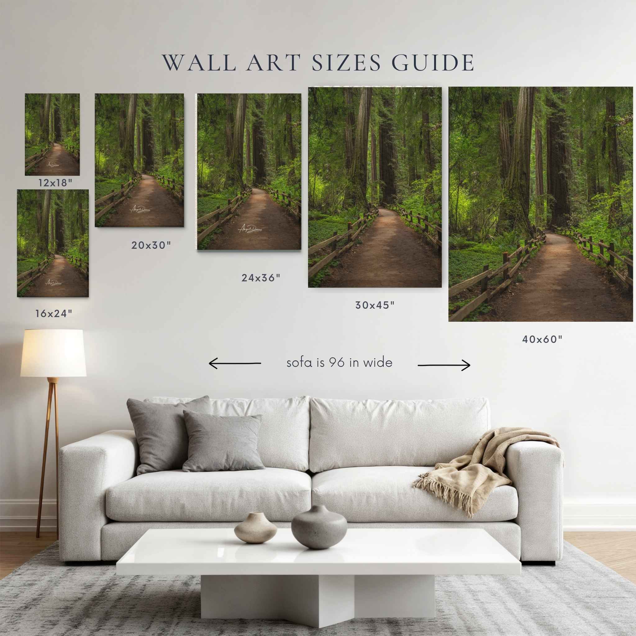 Canvas size guide for Cathedral of Giants, a Muir Woods California redwood forest photograph by Abigail Diane Photography, comparing popular large-format canvas wall art sizes from 12x18 to 40x60 inches above a living room sofa.