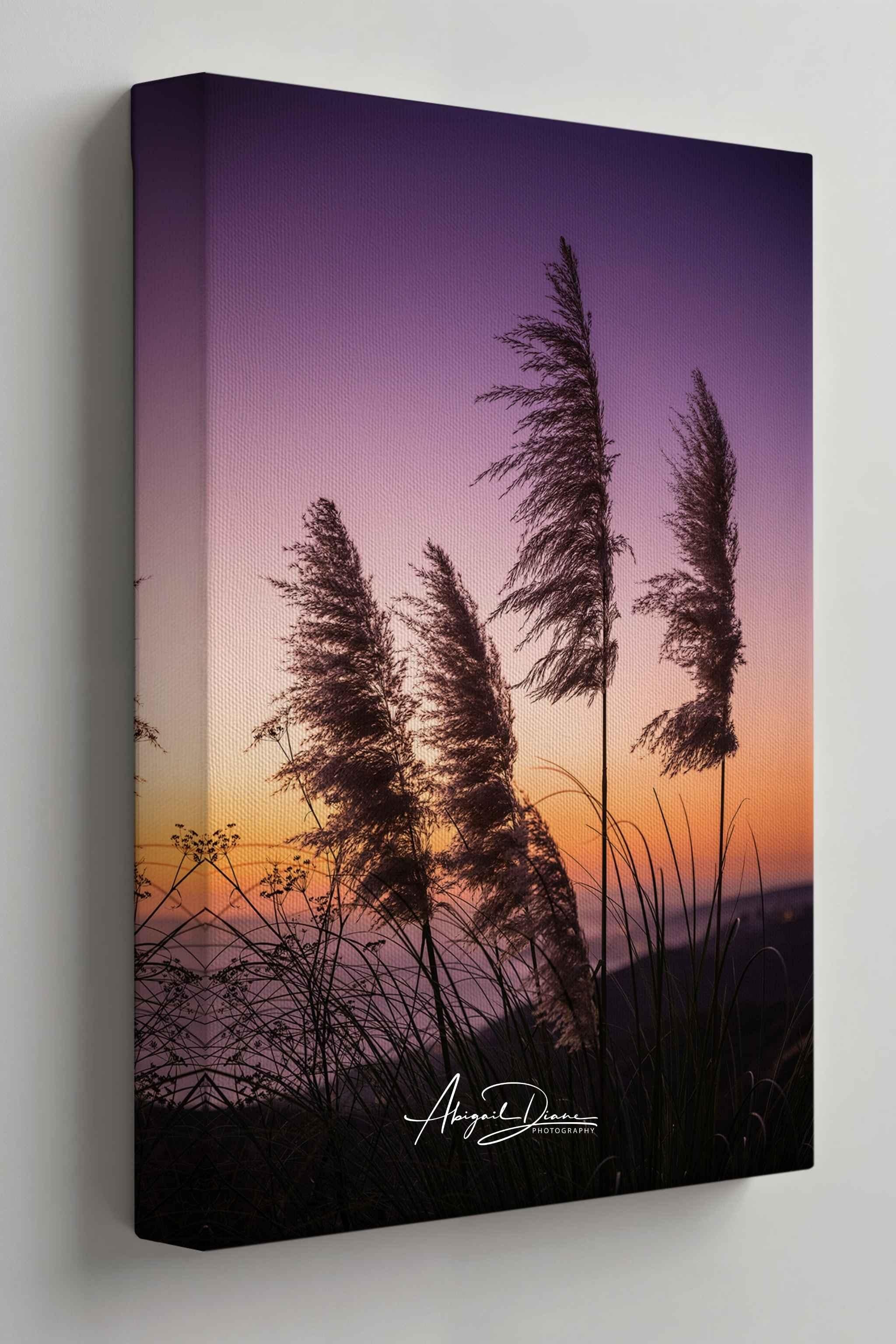 Coastal pampas grass silhouetted against a glowing purple, pink, and golden sunset sky overlooking the coastline of Laguna Beach California, photographed by Abigail Diane Photography.