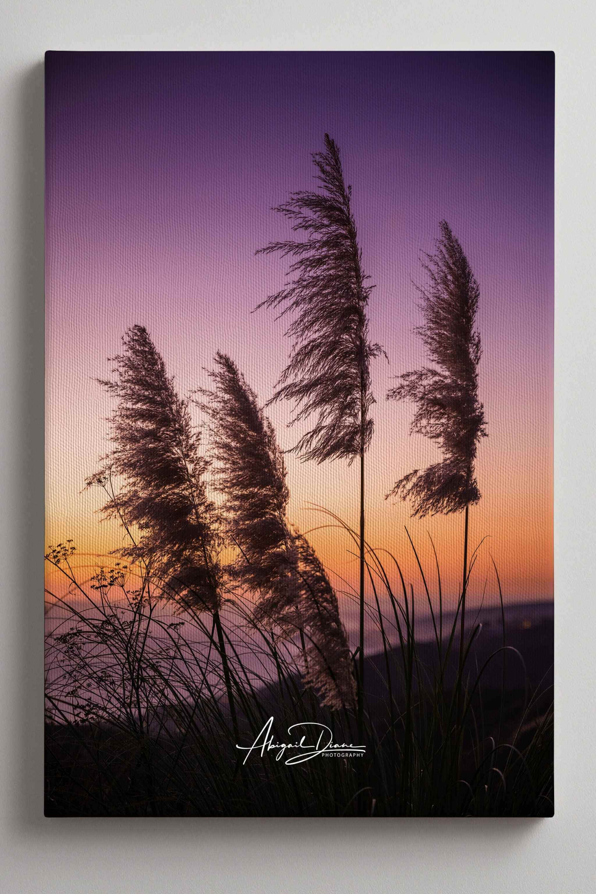 Coastal pampas grass silhouetted against a glowing purple, pink, and golden sunset sky overlooking the coastline of Laguna Beach California, photographed by Abigail Diane Photography.