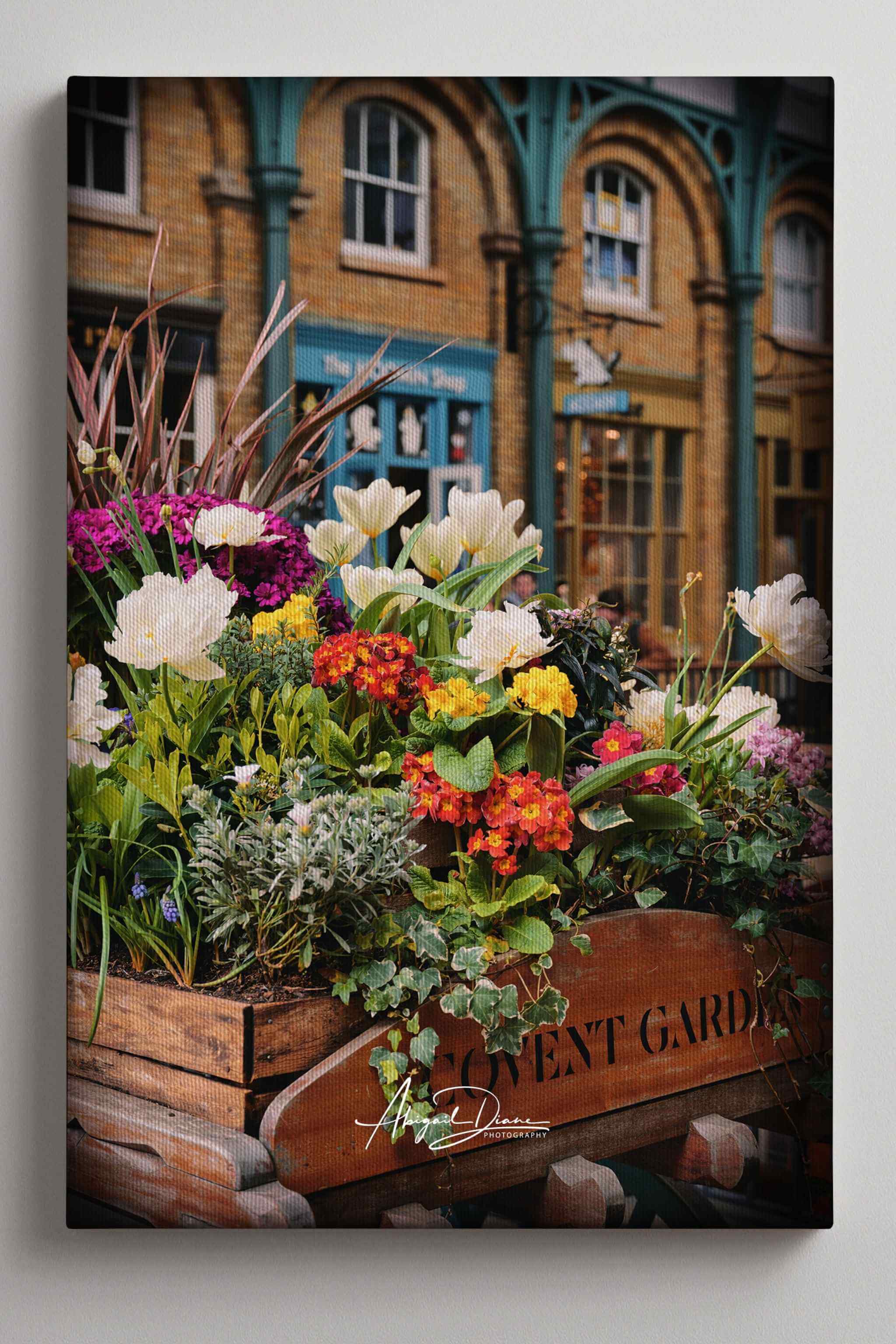 Gallery wrapped canvas print featuring vibrant spring flowers at Covent Garden, London, displayed on a soft warm gallery wall. Colorful botanical street scene with historic architecture, perfect for cottage, English garden, and travel-inspired interiors.