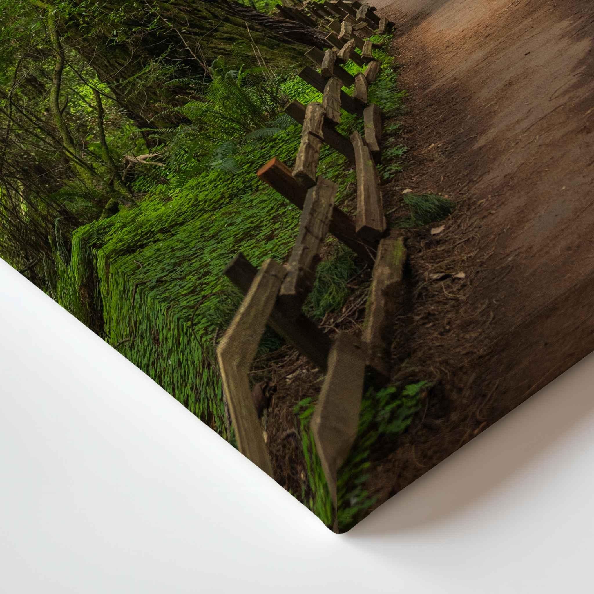 Close-up detail of a gallery wrapped canvas print featuring Cathedral of Giants, a tranquil redwood forest pathway in Muir Woods California. The image shows the wrapped canvas edge and premium print quality of Abigail Diane Photography fine art wall art.