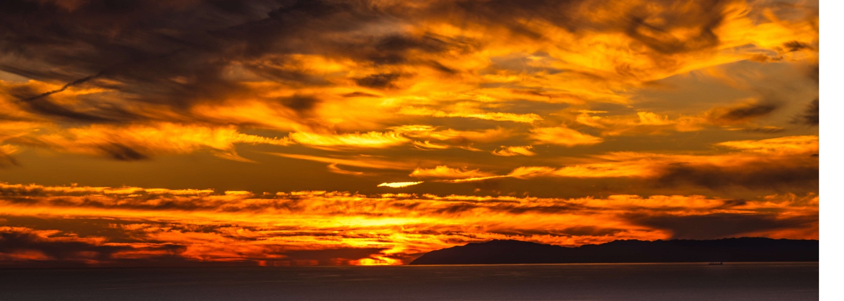 California coastal Sunset with vibrant orange and yellow clouds over Catalina Island in the Pacific Ocean. Photographed by Abigail Diane Photography