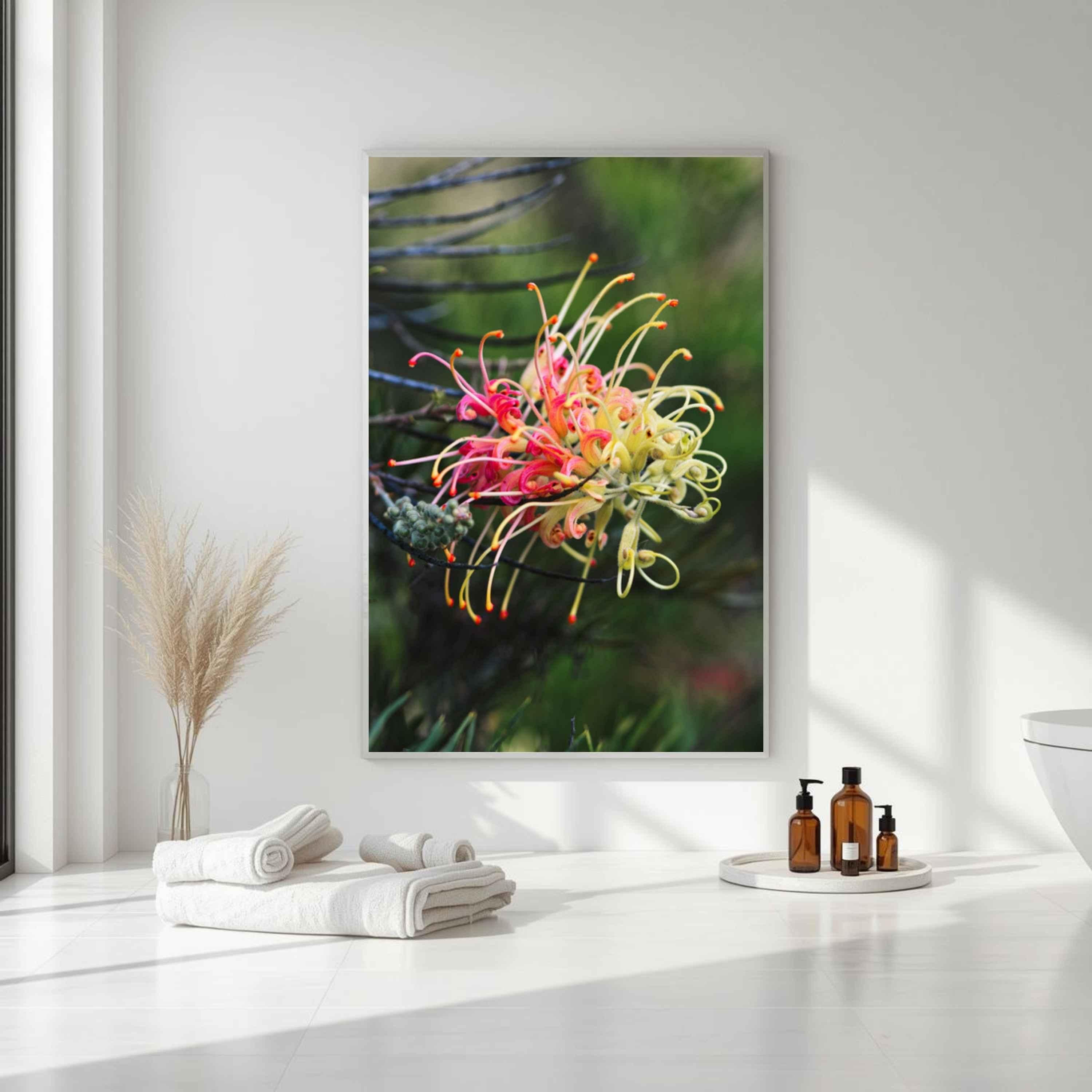 Fine art canvas print of a Grevillea Peaches and Cream flower displayed in a bright spa-inspired bathroom with white walls, soft natural light, and minimalist décor by Abigail Diane Photography.