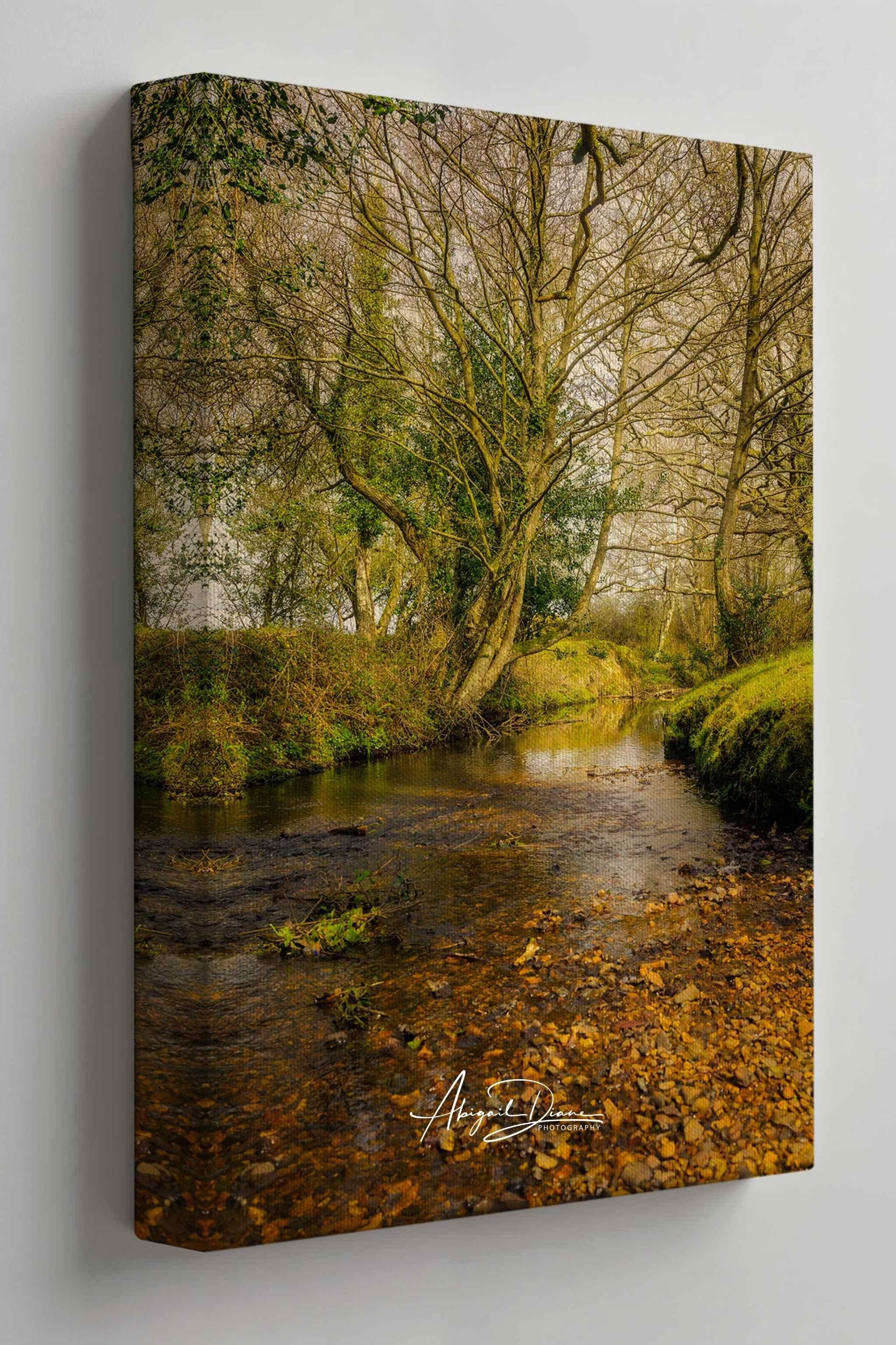 Gallery-wrapped canvas print of Lazy Creek featuring a tranquil woodland stream winding through the New Forest National Park in Hampshire, England by Abigail Diane Photography.