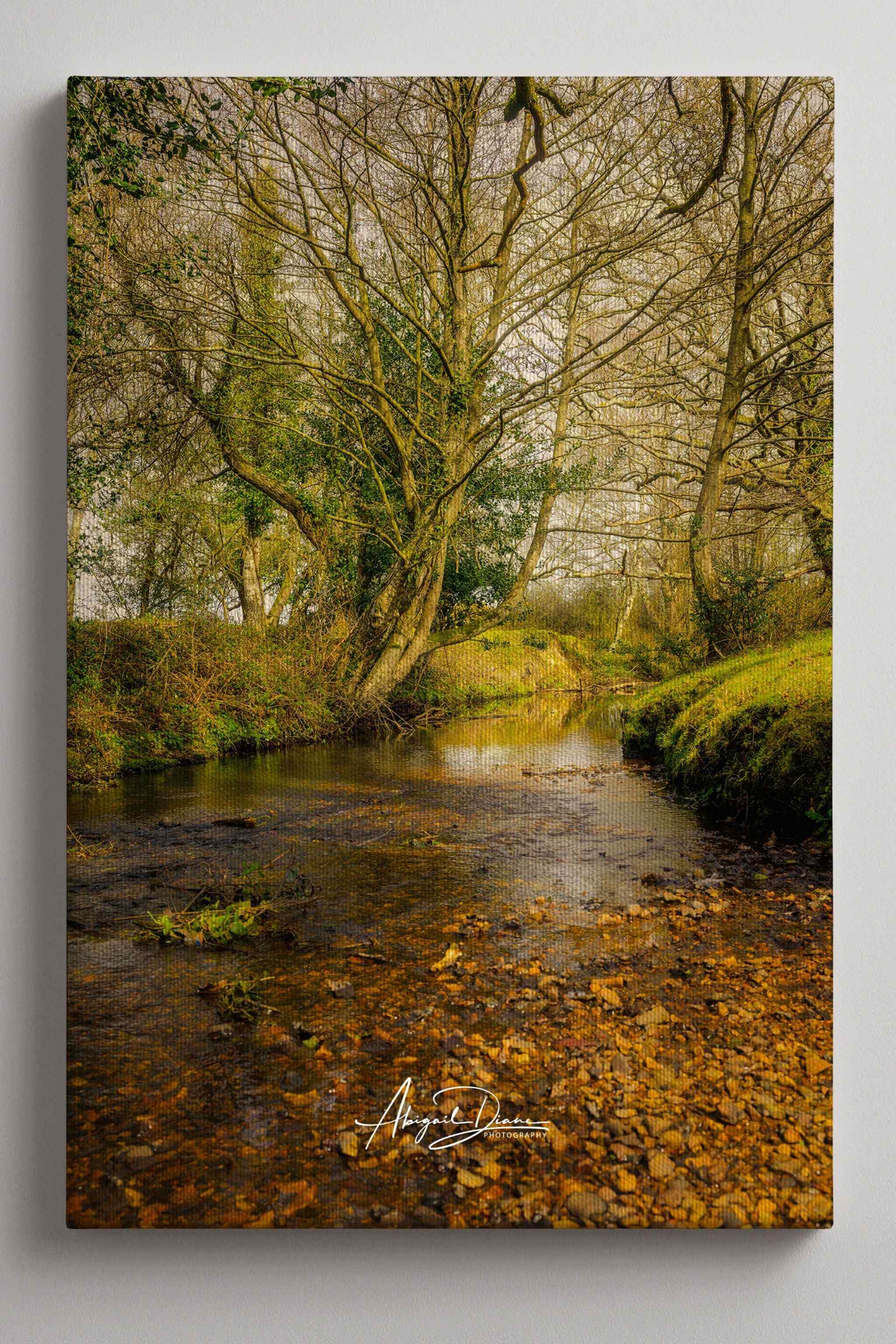 Gallery-wrapped canvas print of Lazy Creek featuring a tranquil woodland stream winding through the New Forest National Park in Hampshire, England by Abigail Diane Photography.