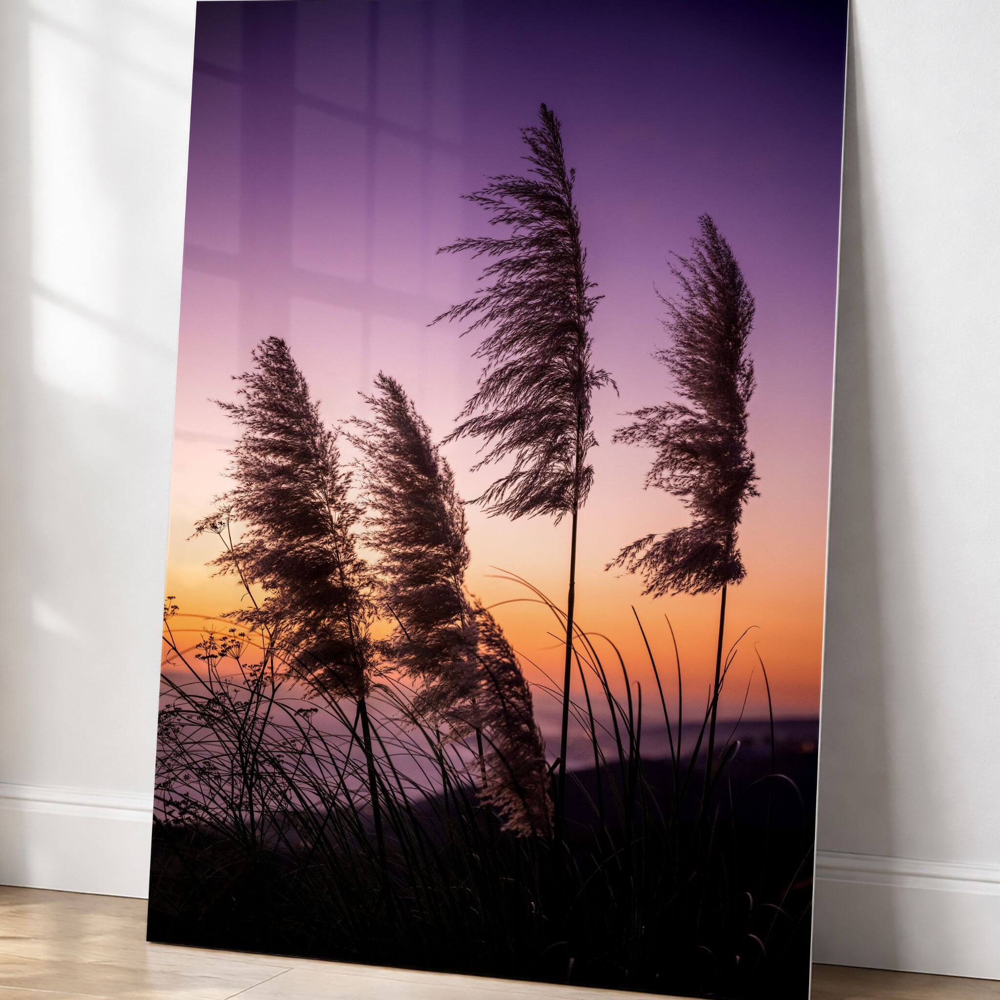 Pampas grass silhouetted against purple, pink and golden sunset skies in this Laguna Beach California metal print.