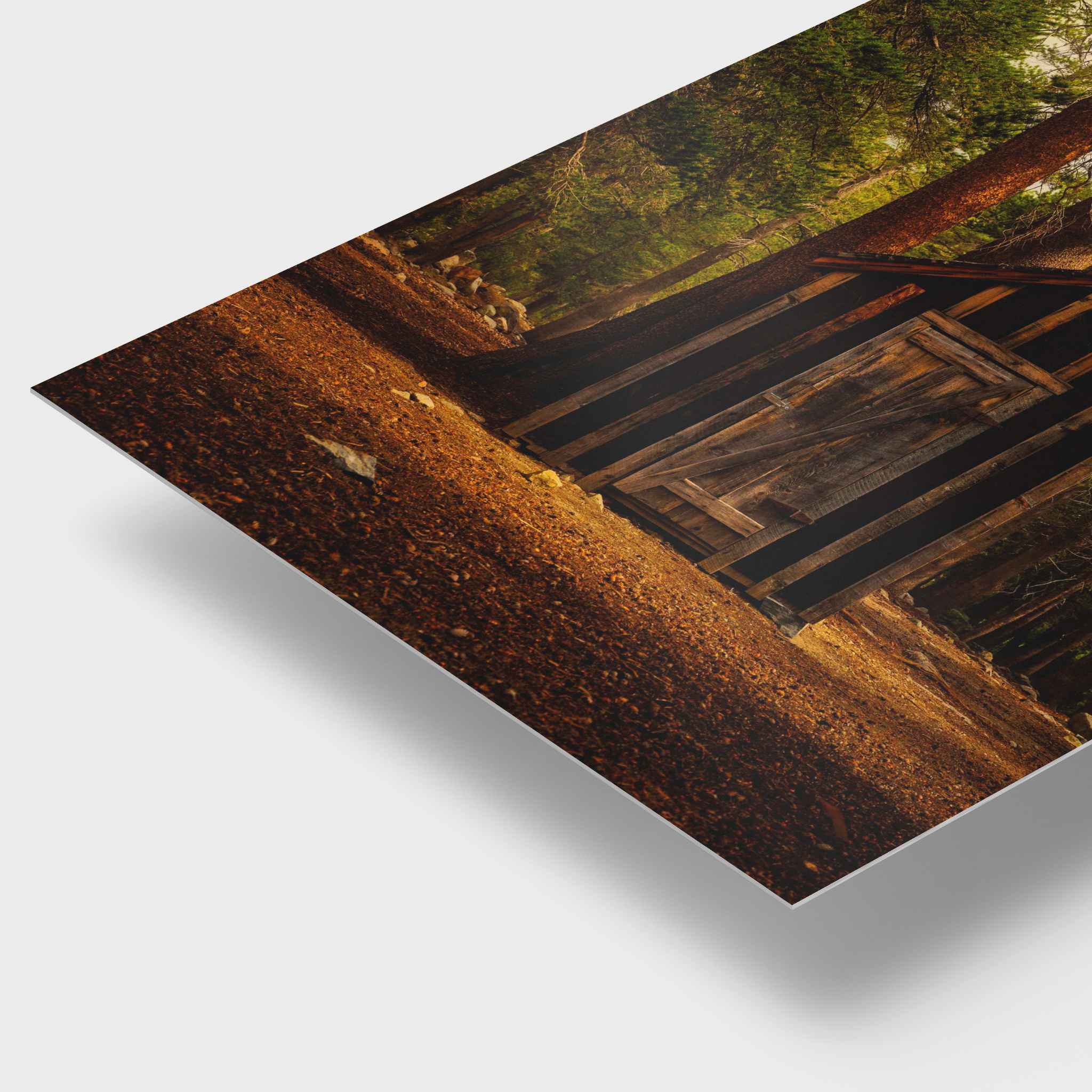 Close-up angled view of Rustic Remnant Among the Trees HD metal print, showing the rich woodland tones and rustic wooden outhouse in Mammoth Lakes, California.