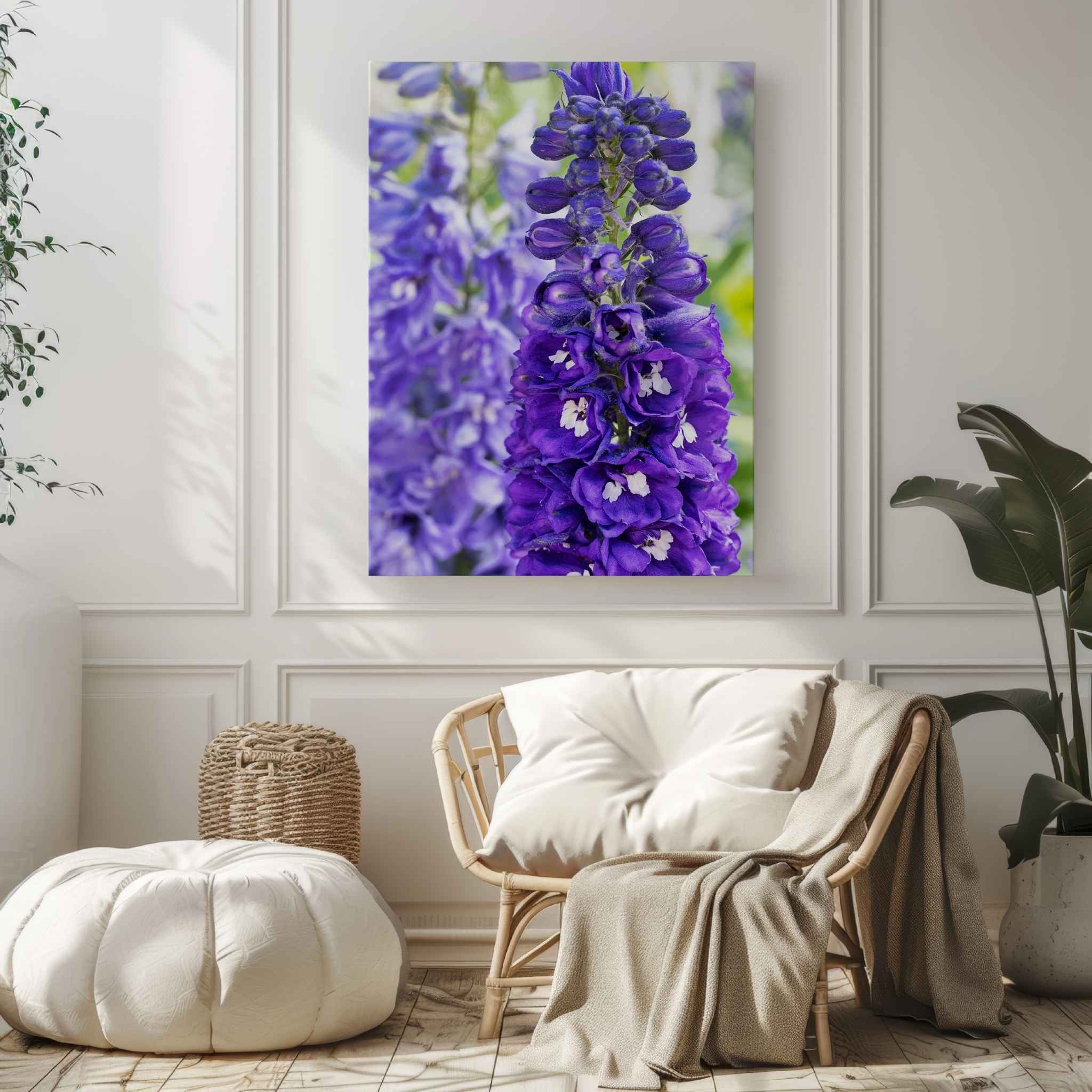Violet Harmony purple larkspur HD metal print displayed in a bright neutral interior by Abigail Diane Photography.