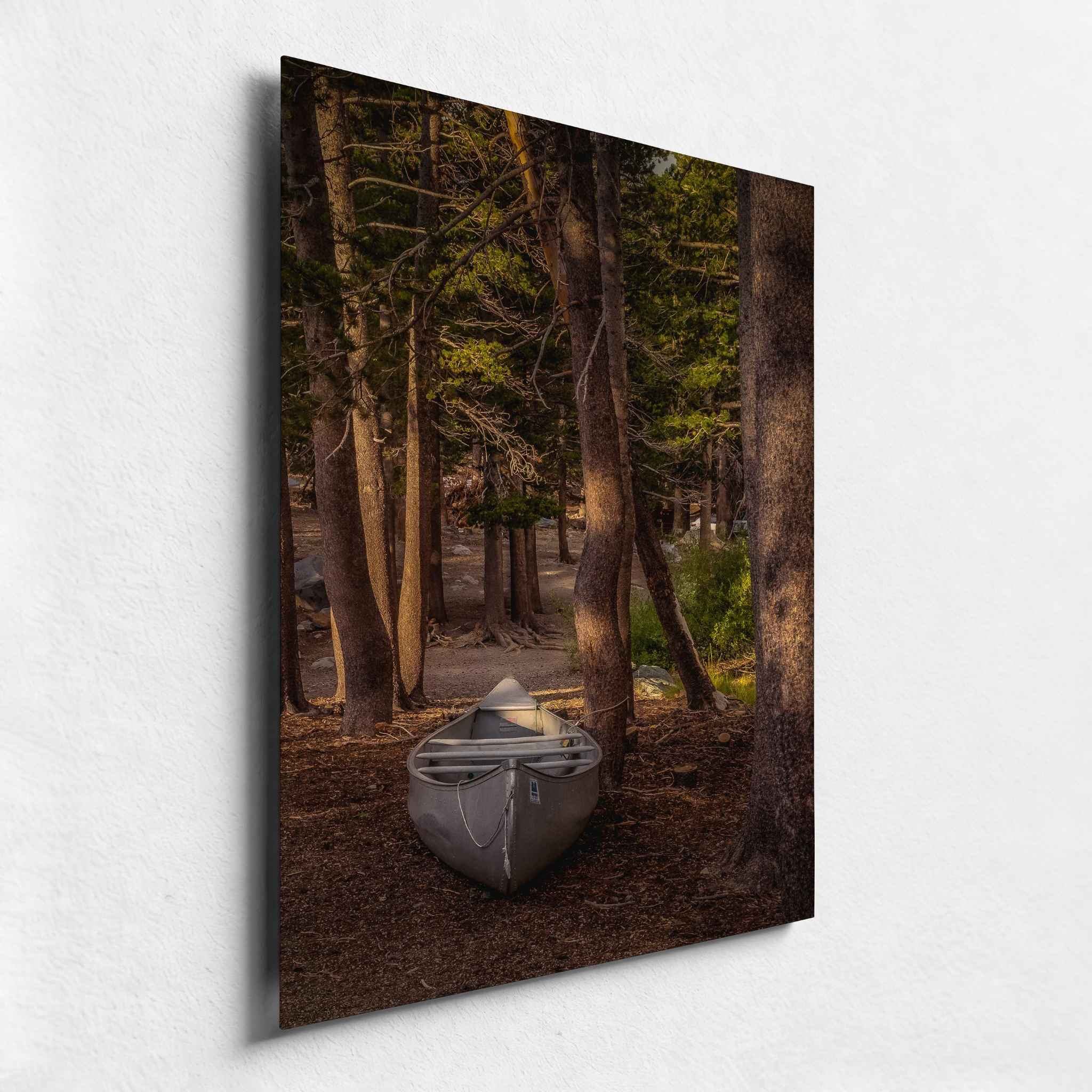 Waiting for the Water HD metal print featuring a canoe resting among sunlit pine trees, shown from an angled side view with a slim frameless profile.