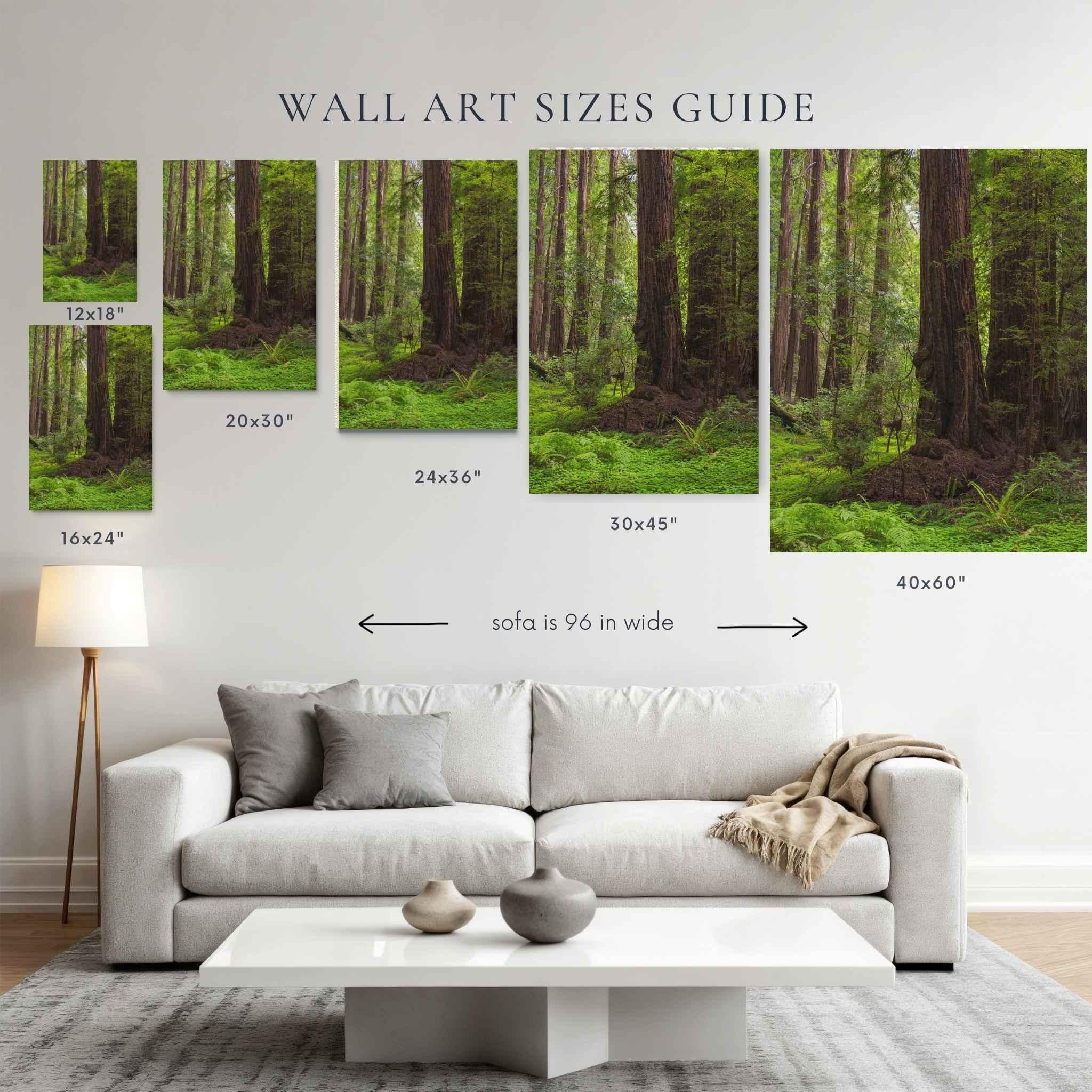 Wall art size guide featuring Abigail Diane Photography's Redwood Forest canvas print displayed above a modern white sofa. Compare 12x18, 16x24, 20x30, 24x36, 30x45, and 40x60 inch canvas sizes to visualize the perfect fit for your living room. Neutral contemporary décor includes a cream sofa, white coffee table, textured rug, and minimalist styling to help choose the ideal large nature wall a