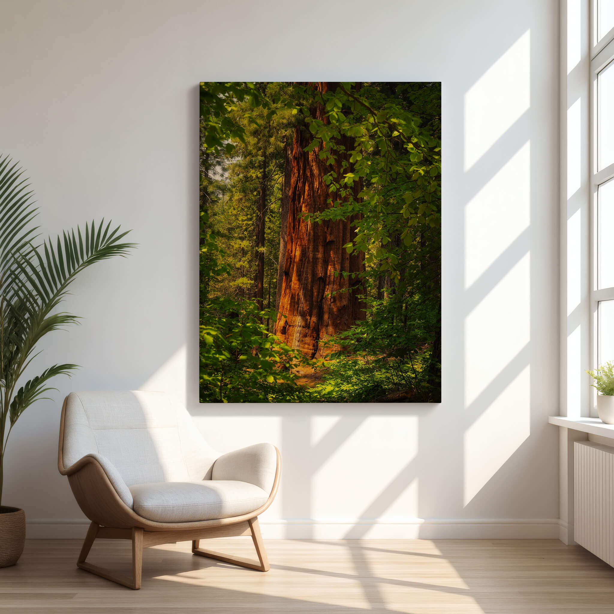 Where the Giants Awaken canvas wall art by Abigail Diane Photography featuring a giant sequoia illuminated by golden morning light in Mariposa Grove, Yosemite National Park, displayed above a modern reading chair.