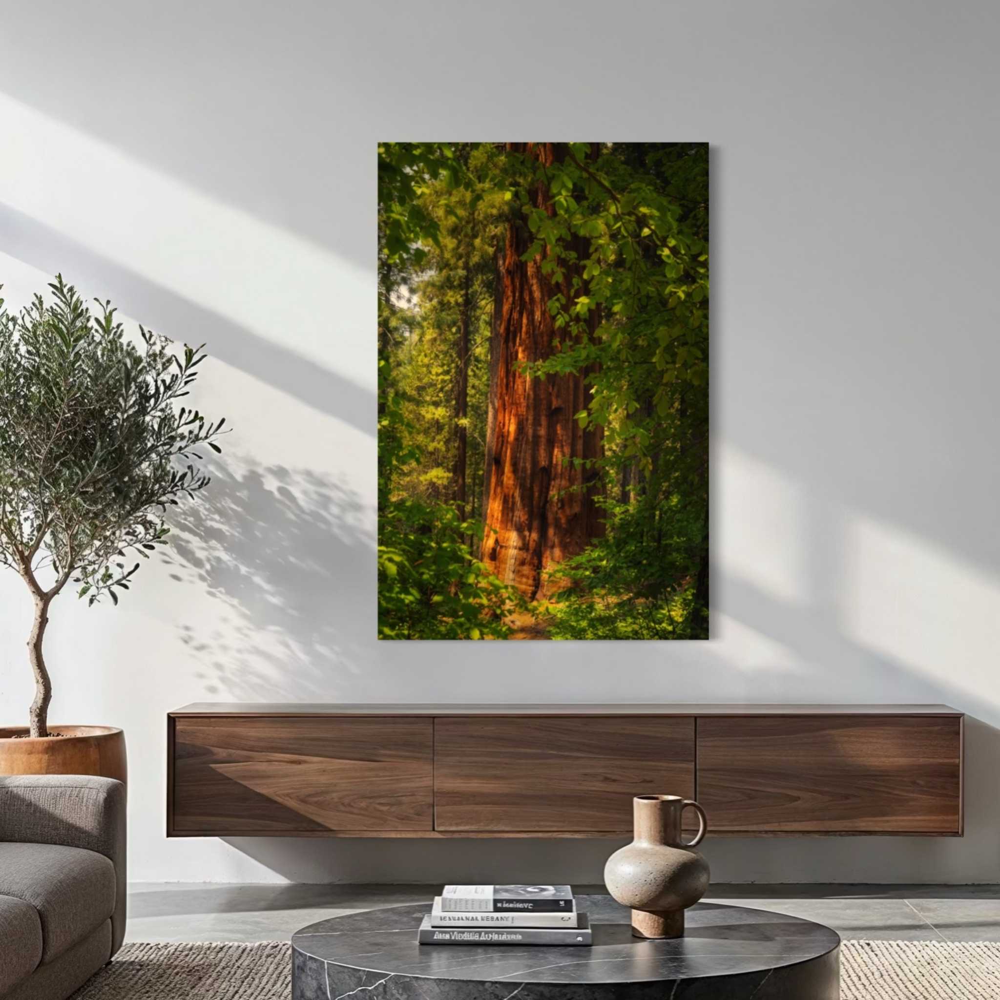 Where the Giants Awaken dye-sublimation metal print by Abigail Diane Photography displayed above a floating walnut console, highlighting a majestic giant redwood surrounded by vibrant green woodland in California.