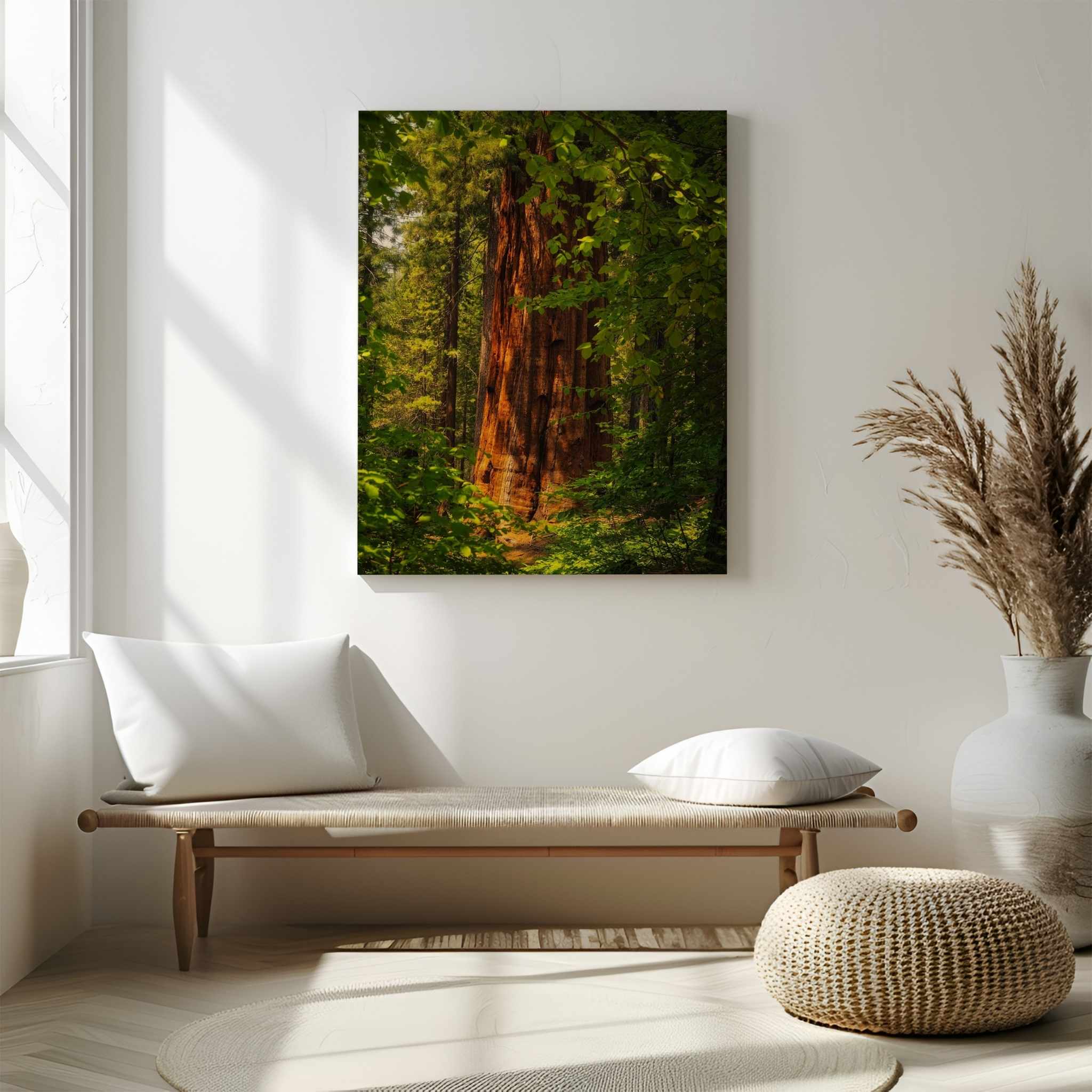 Where the Giants Awaken metal print by Abigail Diane Photography displayed above a modern bench in a minimalist living space, featuring a towering giant sequoia in Yosemite National Park, California.