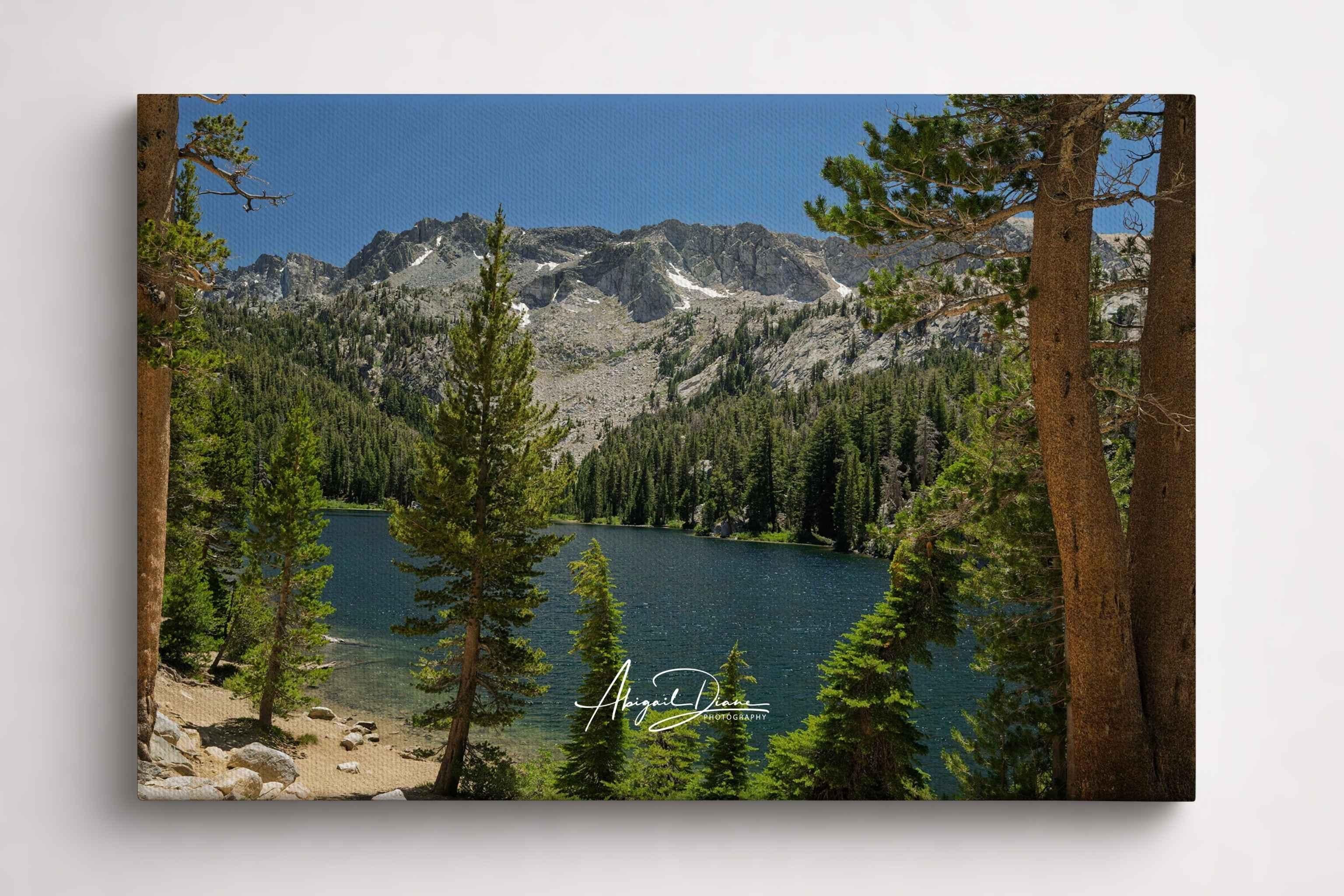 Where the Trail Leads landscape photograph featuring TJ Lake surrounded by pine forest and rugged Sierra Nevada mountains in Mammoth Lakes, California.