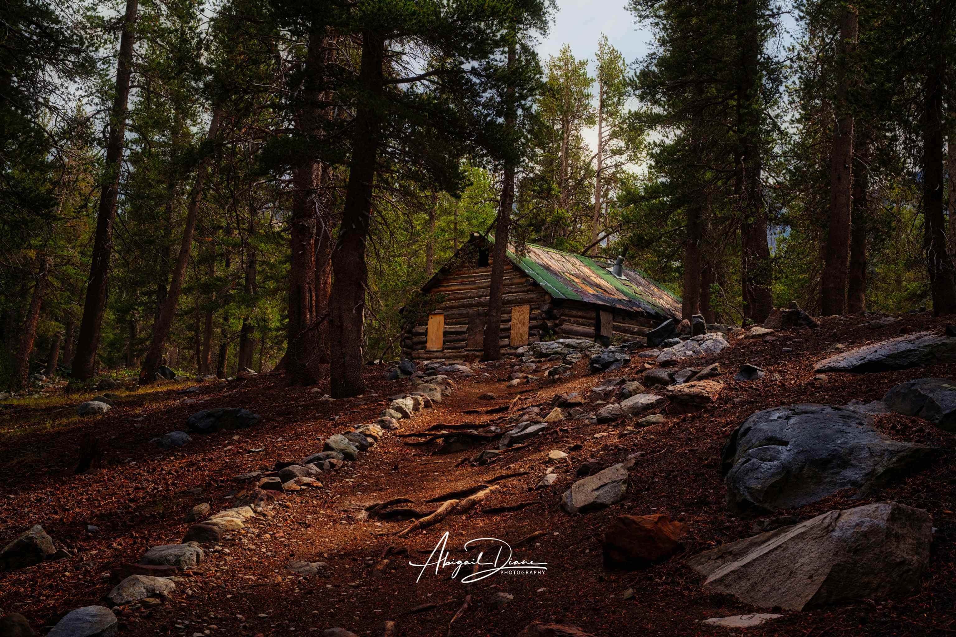 Where the Trail Meets the Past featuring historic Mahan Cabin surrounded by pine forest near Mammoth Lakes in California’s Eastern Sierra, by Abigail Diane Photography.