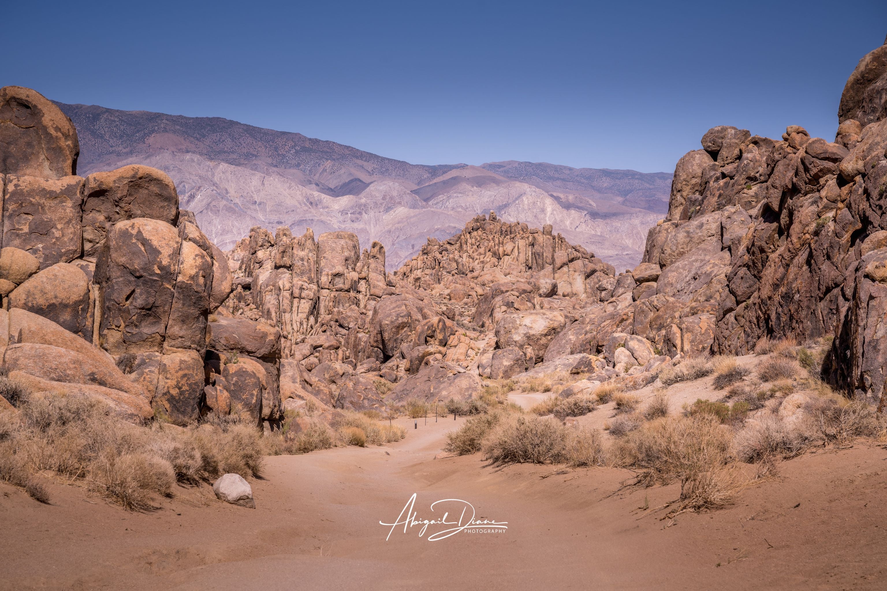 Sierra Desert Passage in Alabama Hills near Lone Pine, California, featuring a sandy trail winding through rugged rock formations beneath the Eastern Sierra near Mount Whitney. Taken by Abigail Diane Photography.