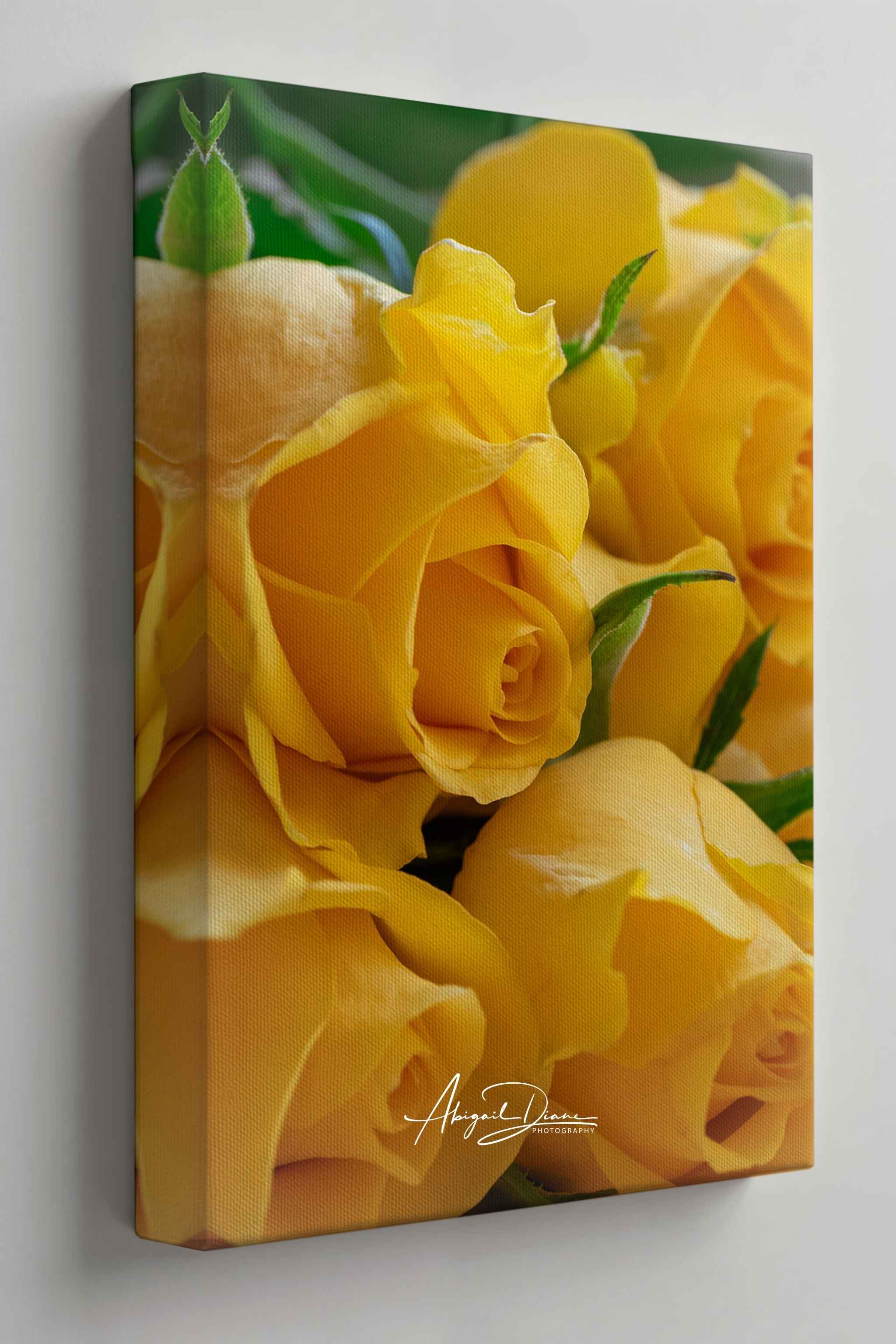 Sunlit Petal Reverie canvas print featuring radiant yellow roses in soft natural light, a botanical fine art photograph by Abigail Diane Photography.