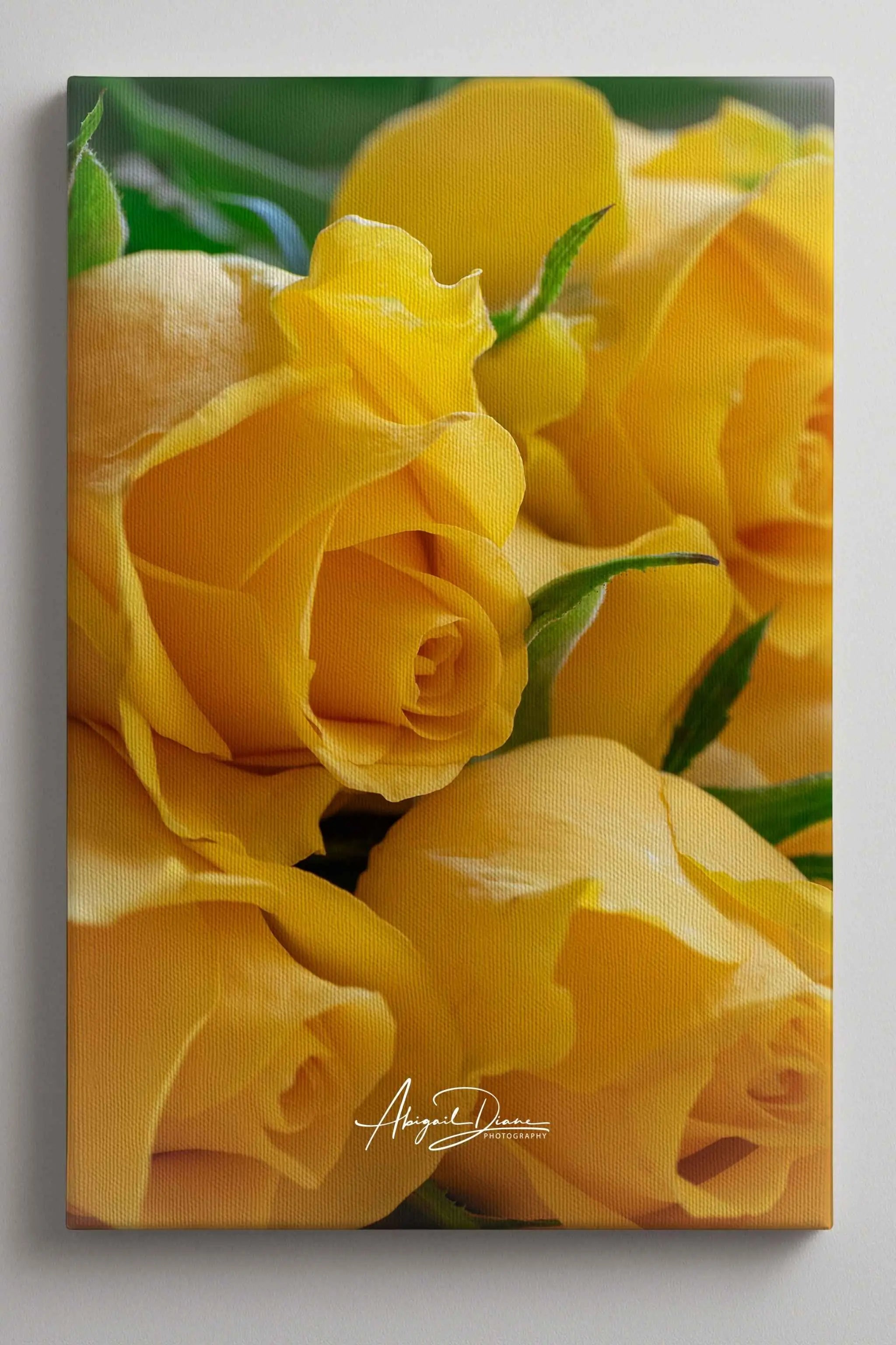 Sunlit Petal Reverie canvas print featuring radiant yellow roses in soft natural light, a botanical fine art photograph by Abigail Diane Photography.