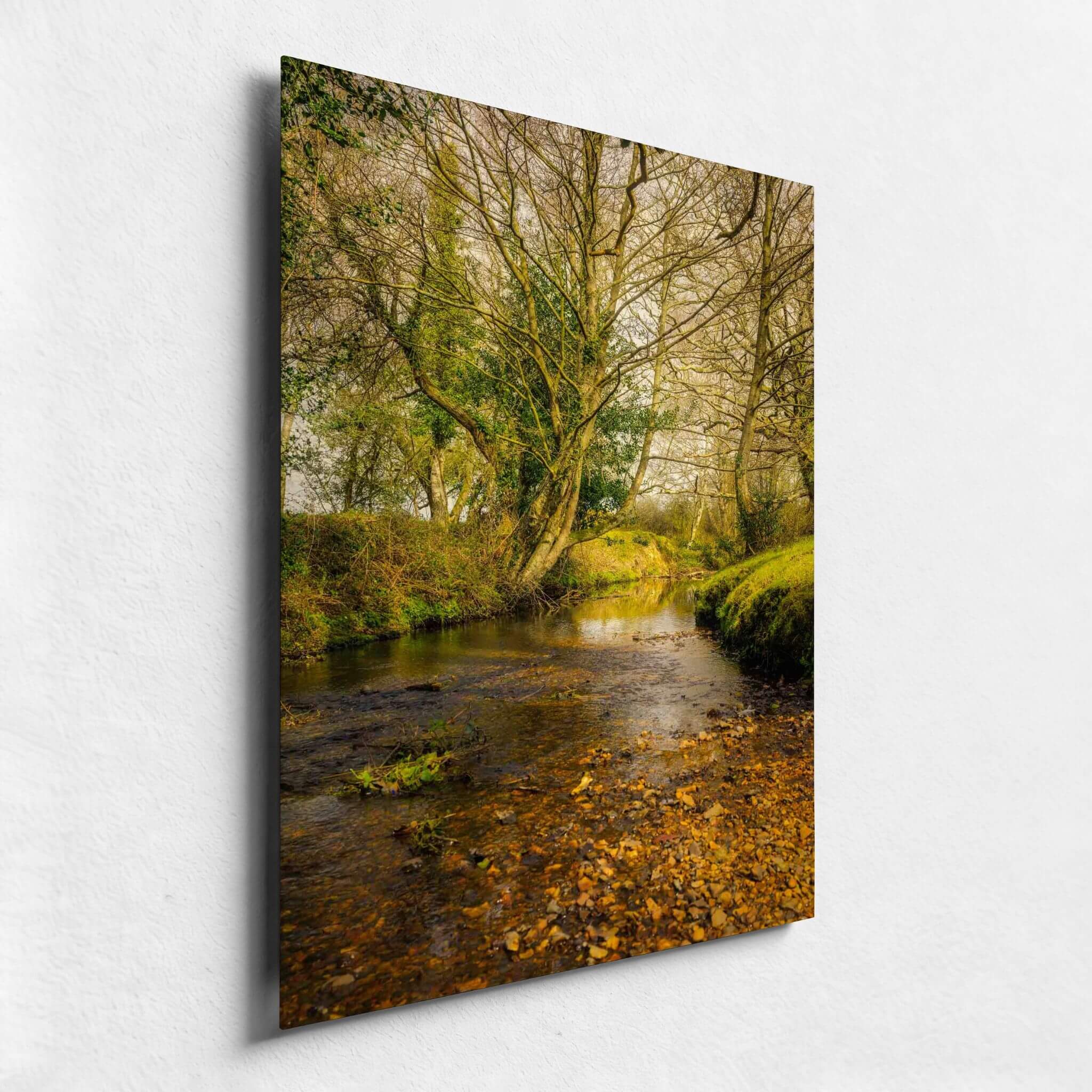 Angled close-up of A Lazy Creek in the New Forest high-definition metal print showing the tranquil woodland stream, warm greens and golden tones.