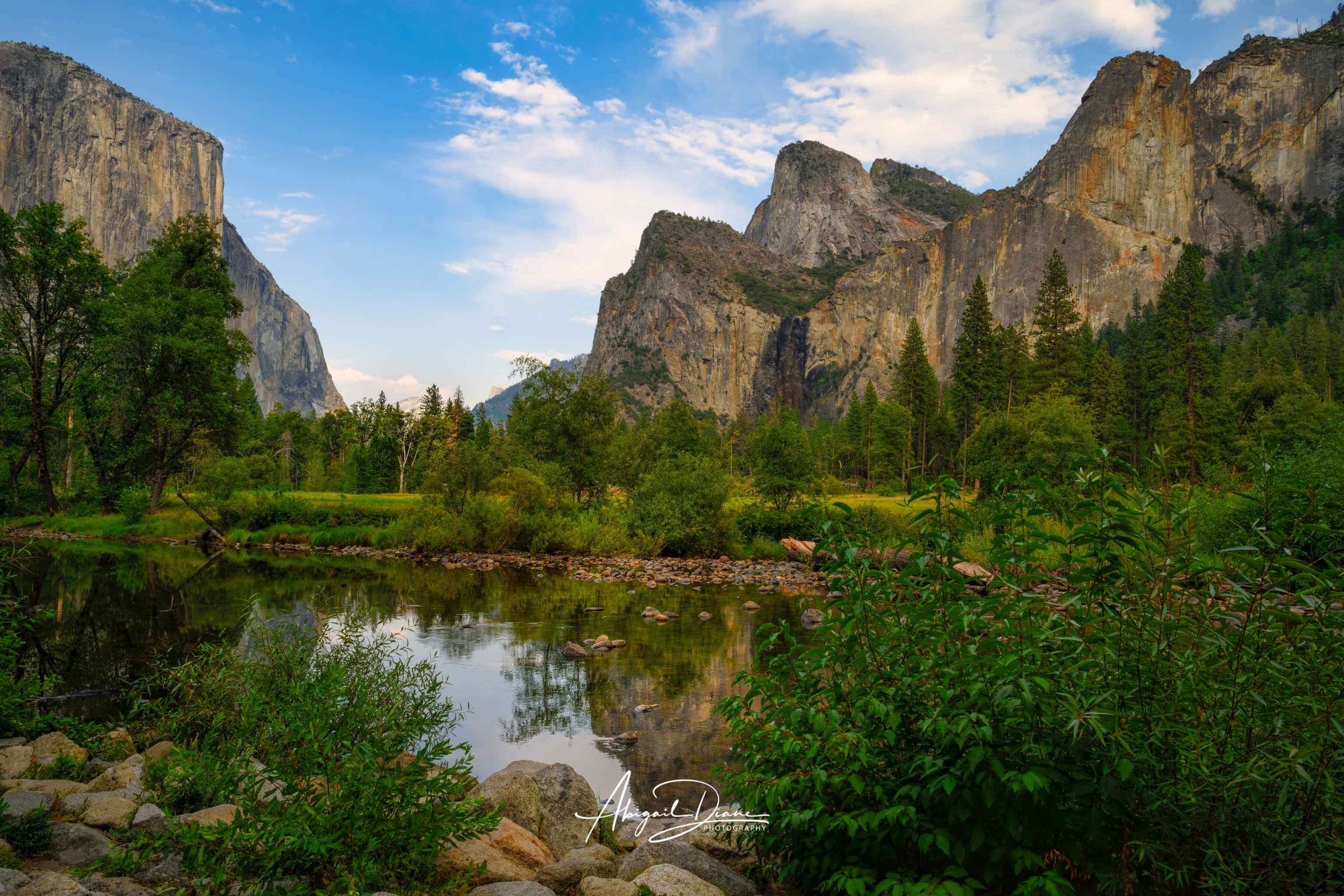 A Majestic Day in Yosemite Valley fine art photography print showcasing the towering granite cliffs of El Capitan and Bridalveil Fall, reflected in the peaceful Merced River beneath a bright blue sky in Yosemite National Park, California. Photographed by Abigail Diane Photography