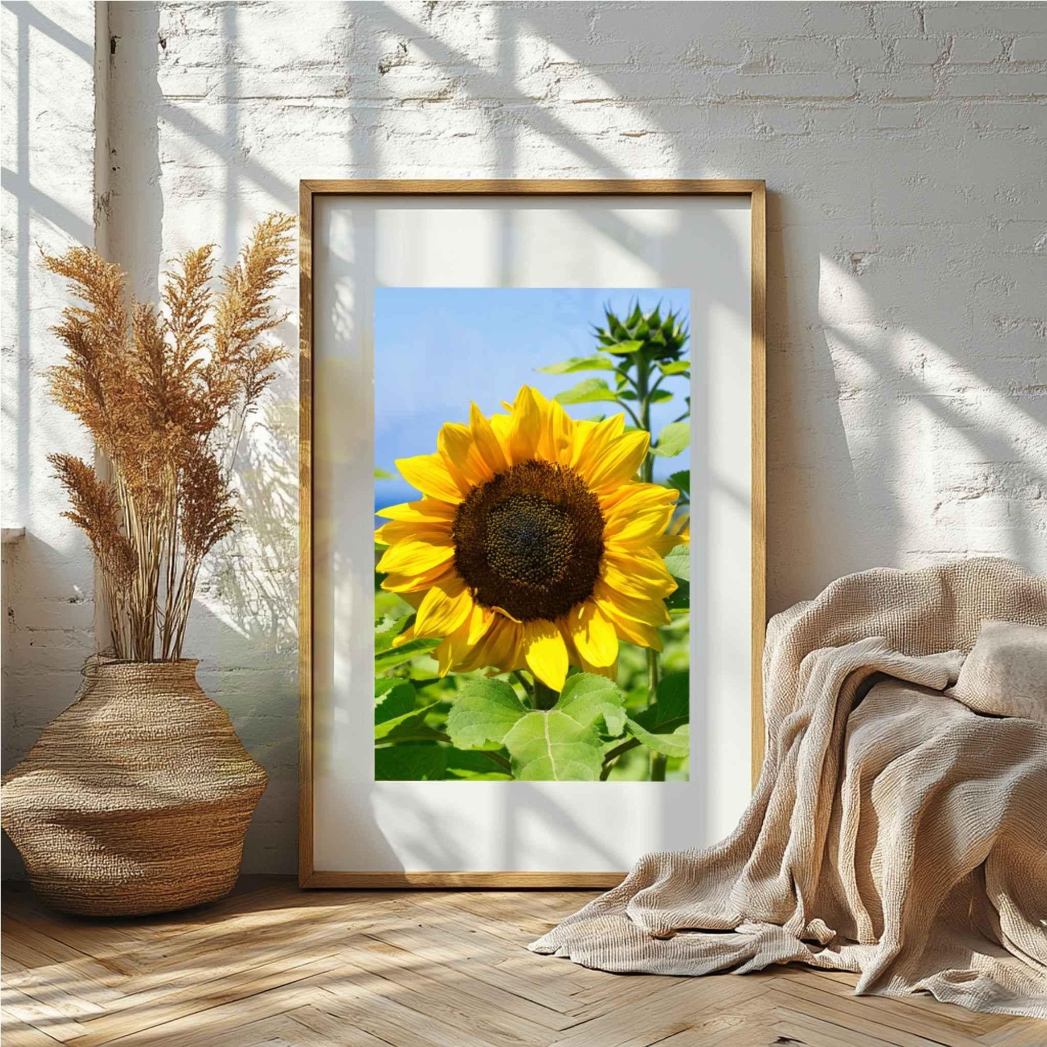 Turning Towards the Light sunflower fine art print by Abigail Diane Photography displayed in a natural oak frame within a sunlit rustic interior featuring dried grasses, textured linens, and warm neutral décor. 