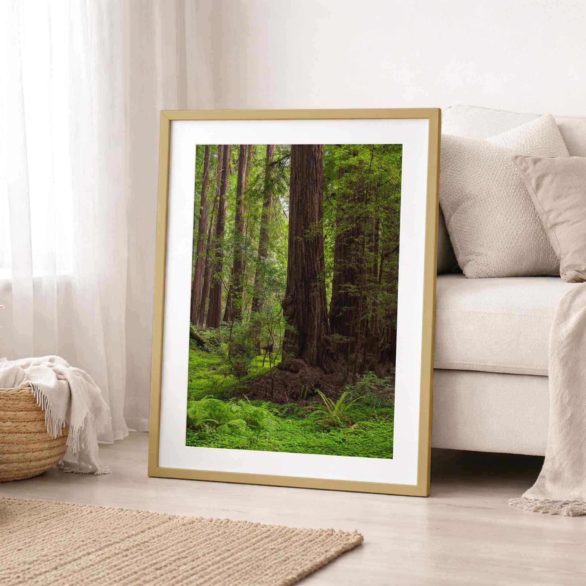 Framed California redwood forest wall art, Ancient Stillness Among the Redwoods by Abigail Diane Photography, styled in a serene modern living room with a light wood frame, plush cream sofa, soft linen textiles, sheer curtains, woven basket, and natural jute rug, creating a calming luxury interior inspired by nature.