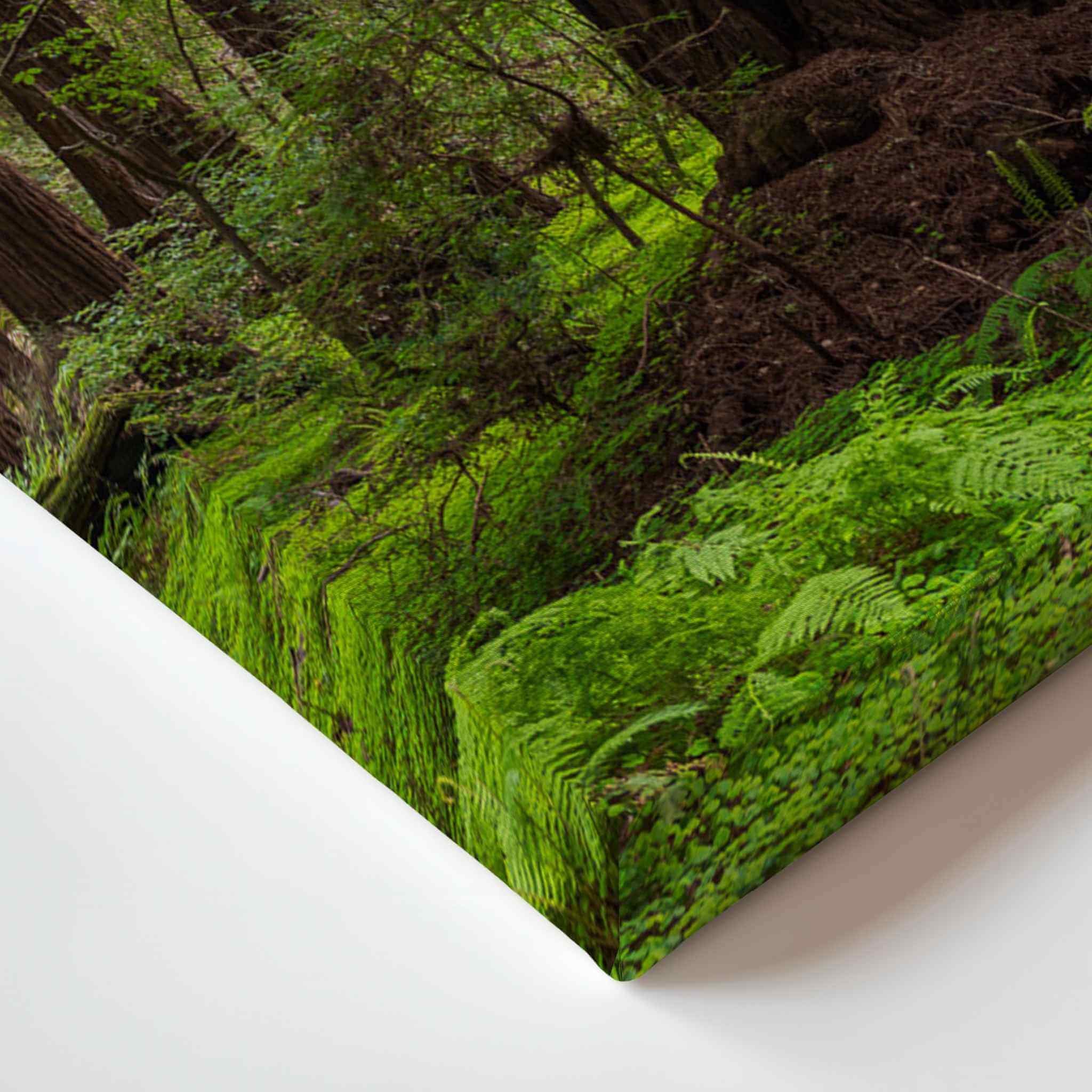 Close-up of the Ancient Stillness Among the Redwoods gallery wrapped canvas by Abigail Diane Photography, highlighting premium edge-to-edge printing, rich green California redwood forest details, vibrant color, and museum-quality craftsmanship for luxury nature wall art.