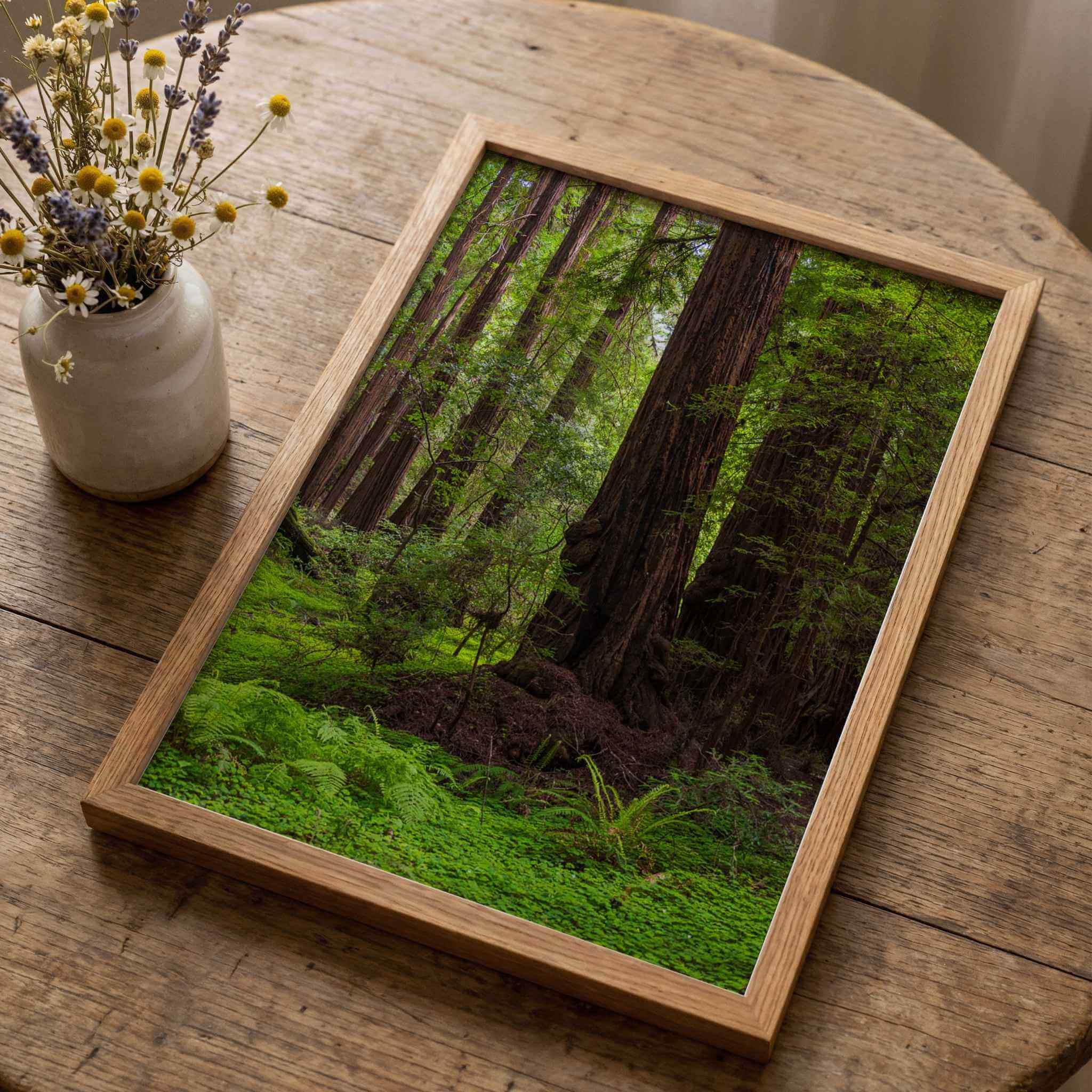 Ancient Stillness Among the Redwoods by Abigail Diane Photography displayed in a natural oak frame on a rustic wooden table beside a ceramic vase of dried wildflowers, showcasing peaceful California redwood forest wall art for a warm, nature-inspired home.