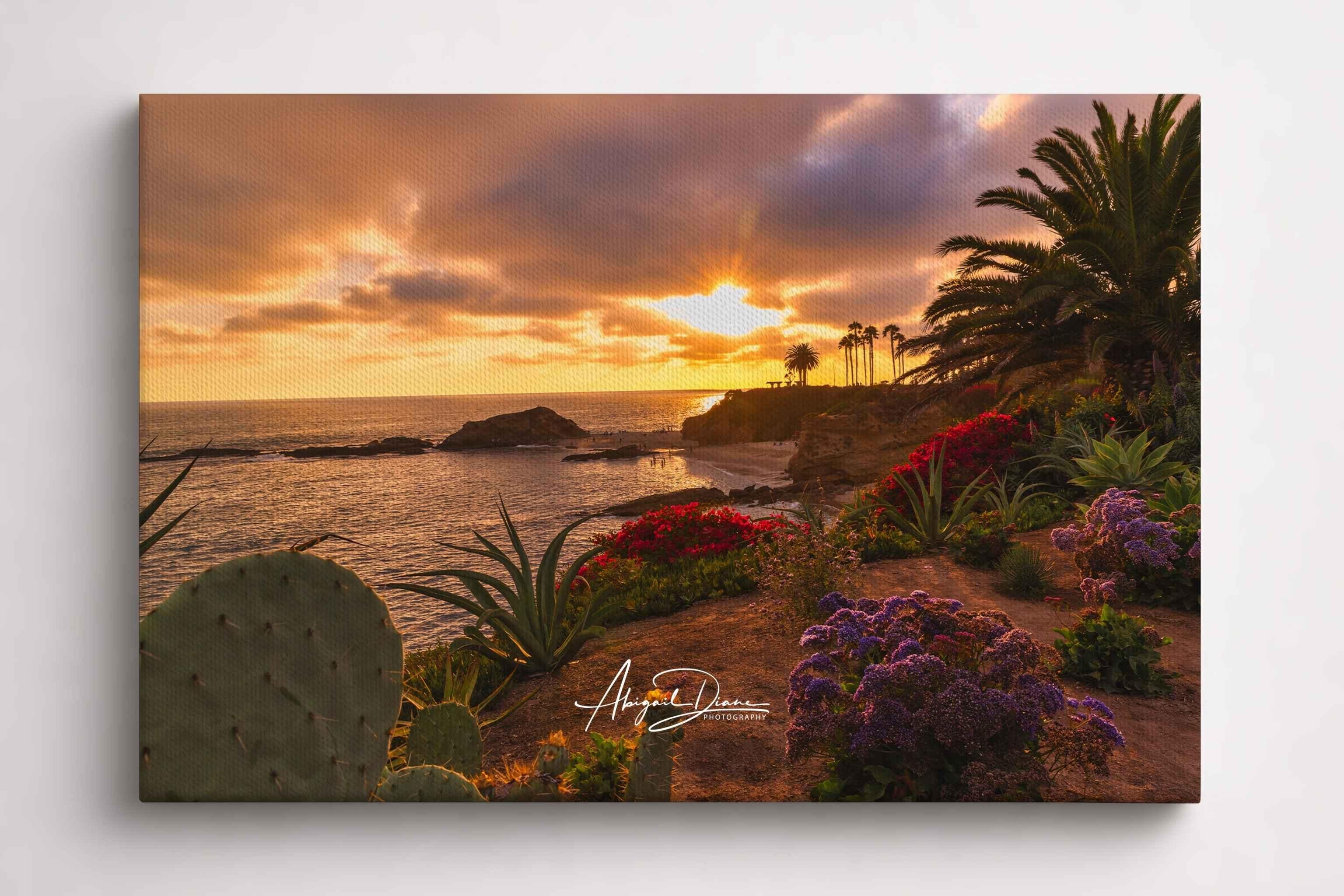 Warm golden sunset over the Pacific Ocean viewed from Heisler Park in Laguna Beach, California, with blooming flowers, palm trees, and coastal gardens. Gallery-wrapped canvas landscape print by Abigail Diane Photography.