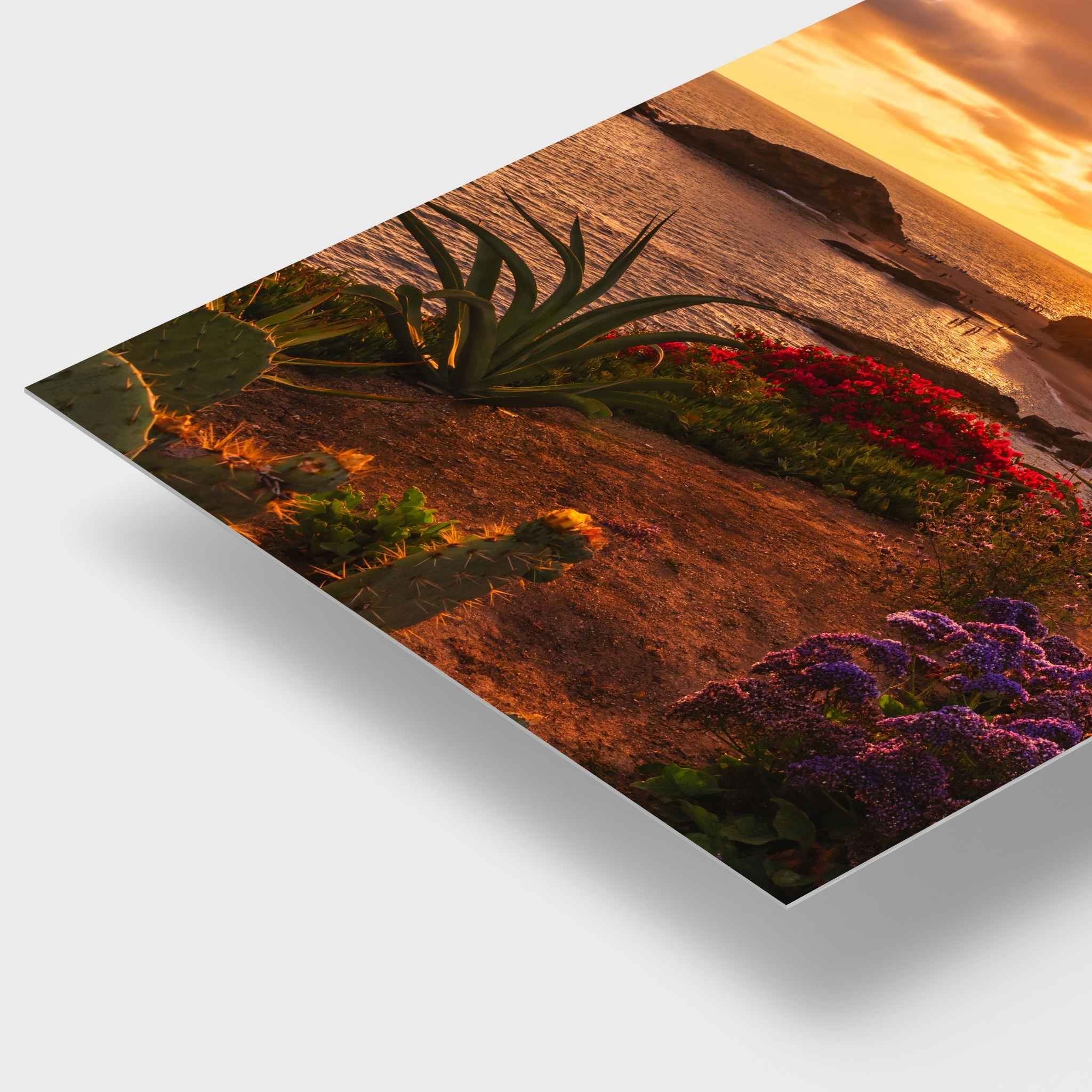 Basking in the Golden Sunset dye-sublimation metal print by Abigail Diane Photography featuring a vibrant Laguna Beach California sunset with colorful coastal flowers, agave plants, palm trees, and the Pacific Ocean.