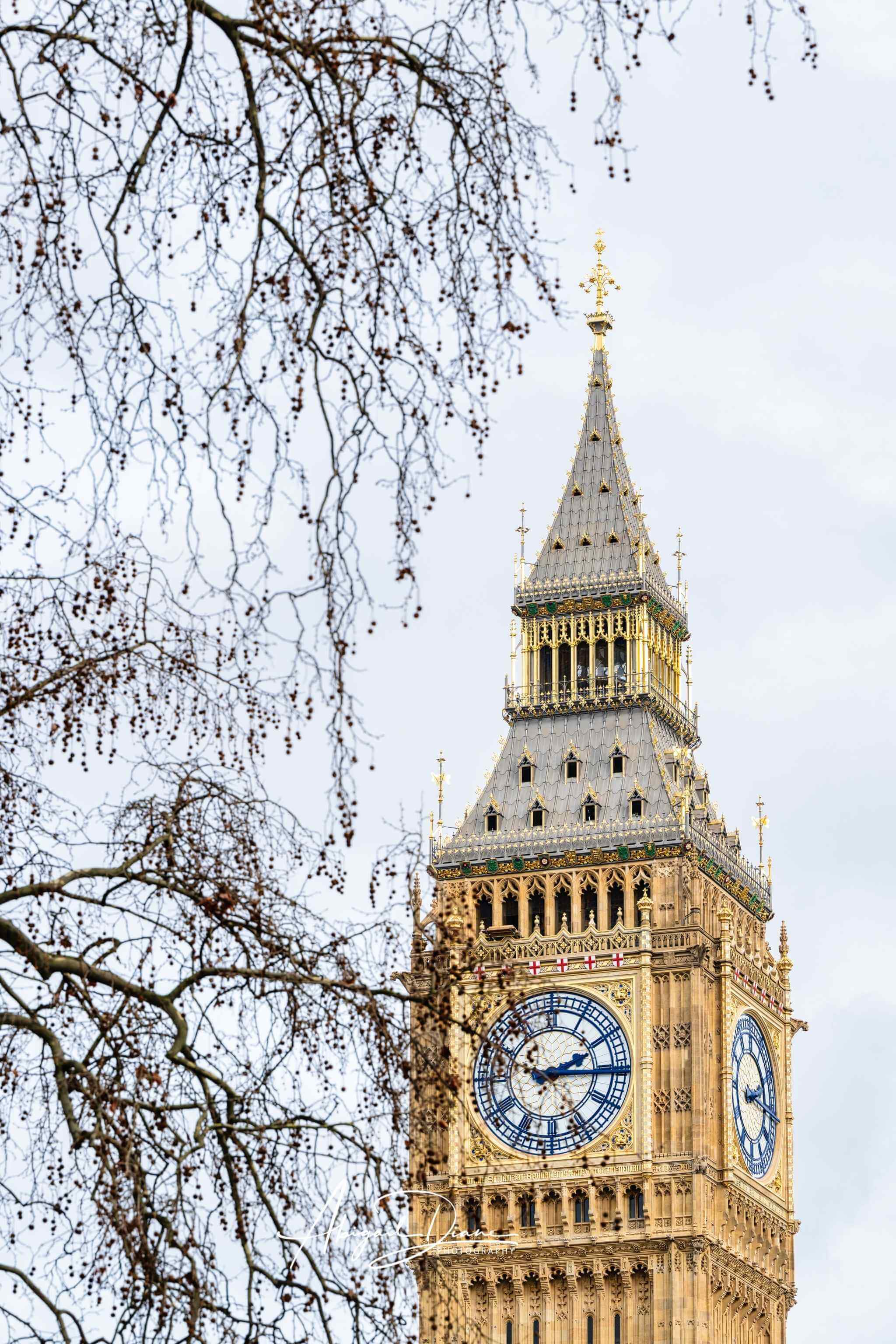 Big Ben London clock tower fine art print by Abigail Diane Photography, featuring detailed historic architecture framed by delicate bare tree branches against a soft neutral sky.