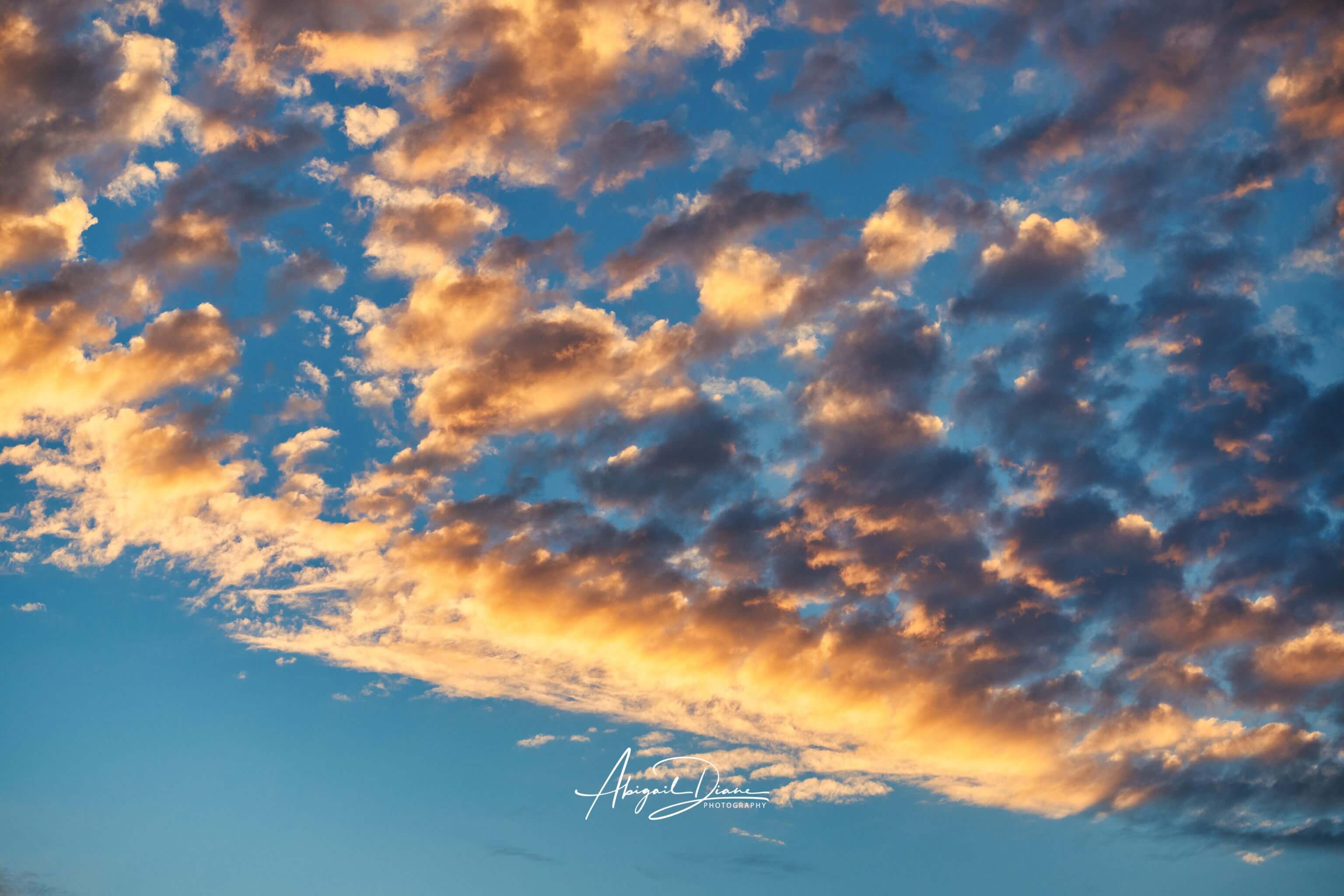 Blue and Gold Symphony of the sky cloudscape featuring luminous golden clouds sweeping across a vivid blue sky, photographed by Abigail Diane Photography