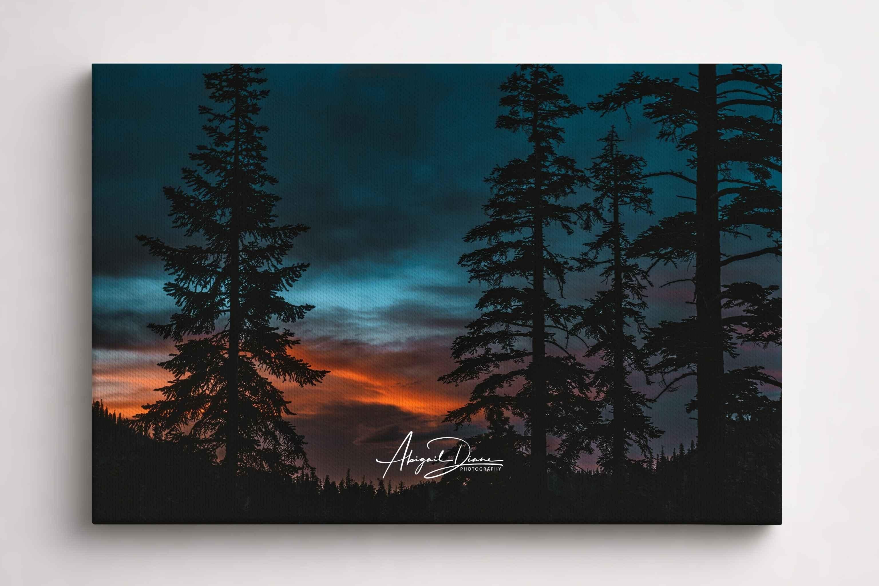 Silhouetted pine trees frame a vibrant blue hour sky with warm sunset colours in Mammoth Lakes, California. Fine art landscape canvas print by Abigail Diane Photography.