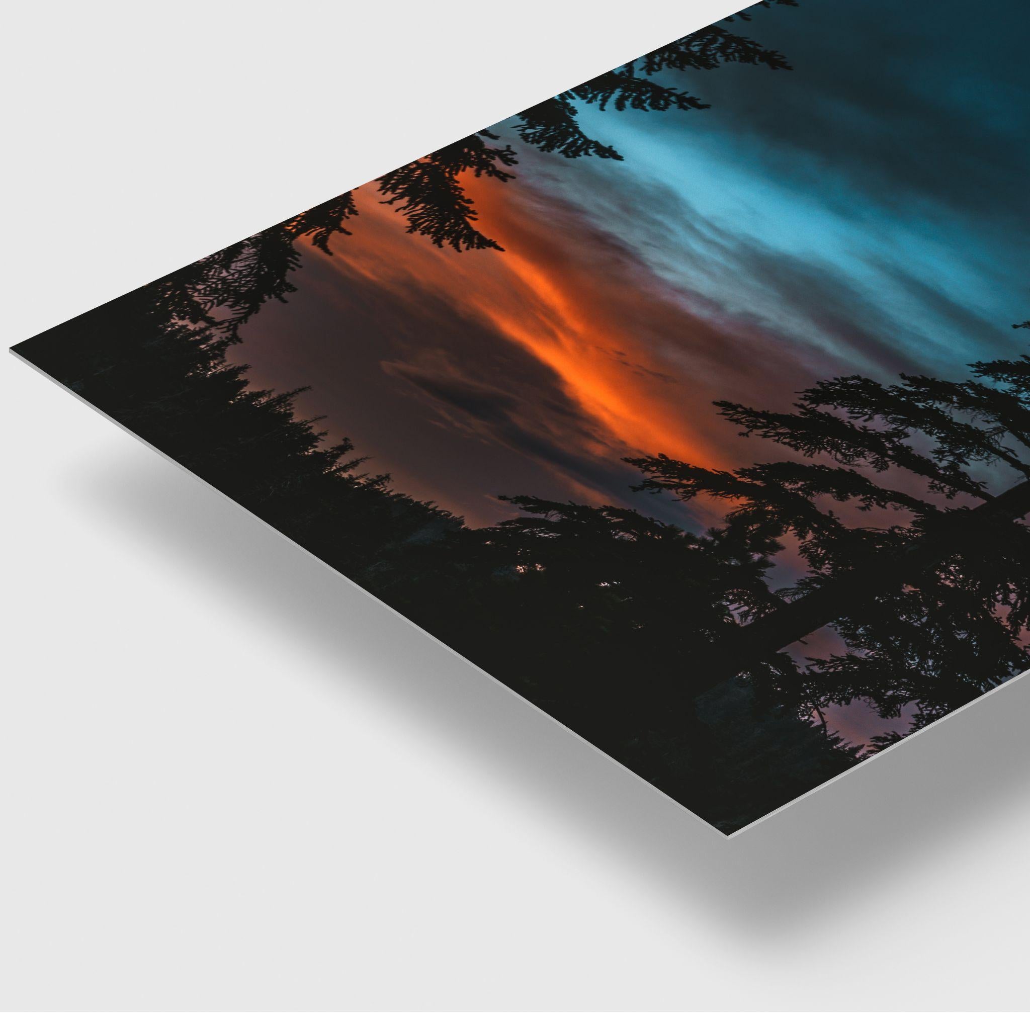 Close-up of Blue Hour Among the Pines HD metal print showcasing vibrant blue hour tones, silhouetted pine trees, and rich sunset colors with a glossy contemporary finish.