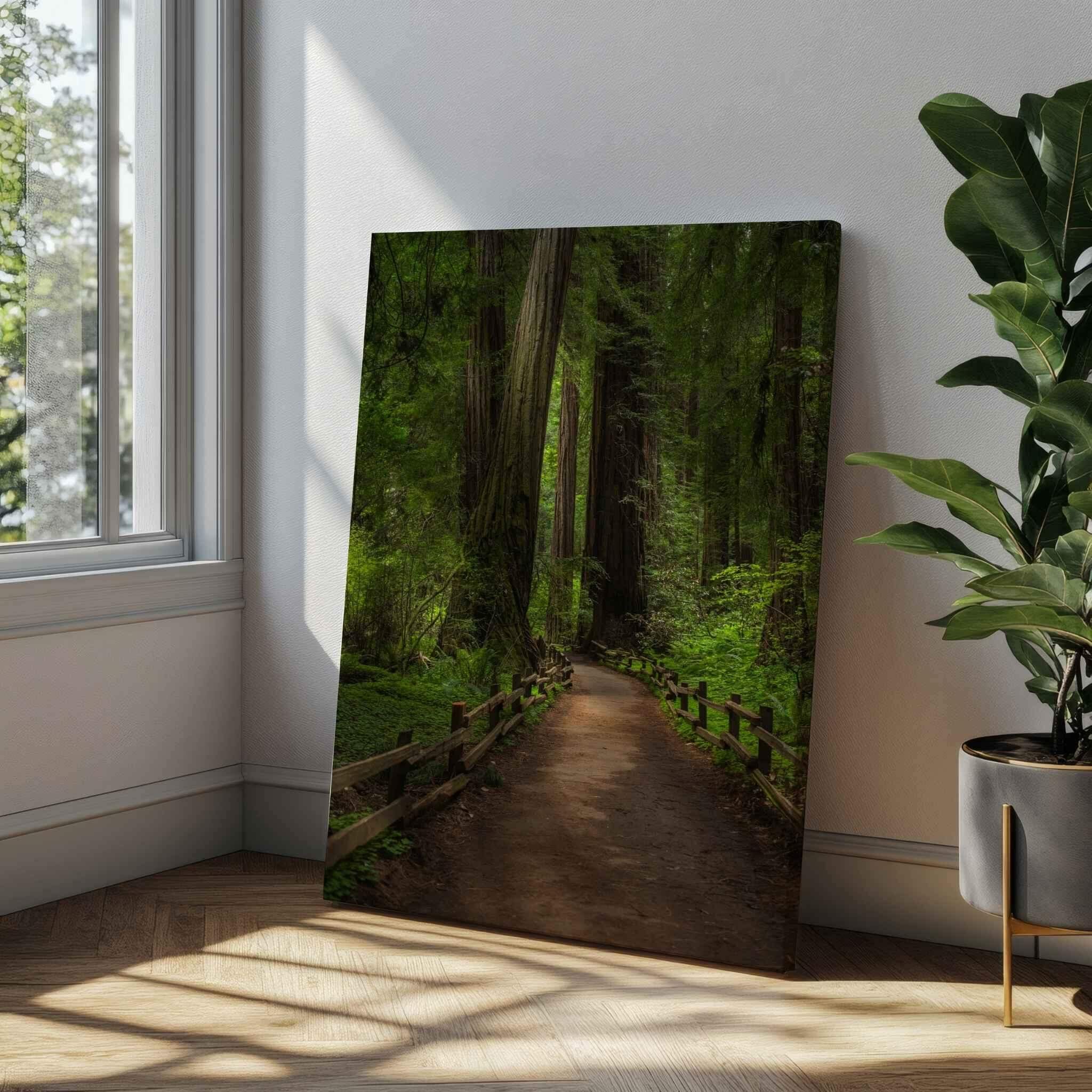 Cathedral of Giants redwood forest canvas print displayed in a bright modern interior beside a window and indoor plant, featuring towering redwood trees and a woodland trail in Muir Woods California by Abigail Diane Photography.