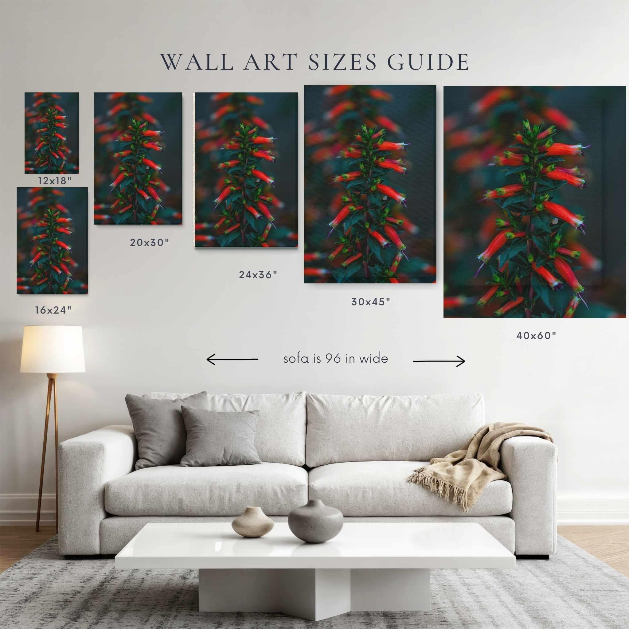 Wall art sizes guide displaying the Crimson Whispers at Twilight Australian firecracker plant canvas print above a 96-inch sofa, comparing 12×18, 16×24, 20×30, 24×36, 30×45, and 40×60 inch canvas sizes to help choose the ideal artwork for your space.