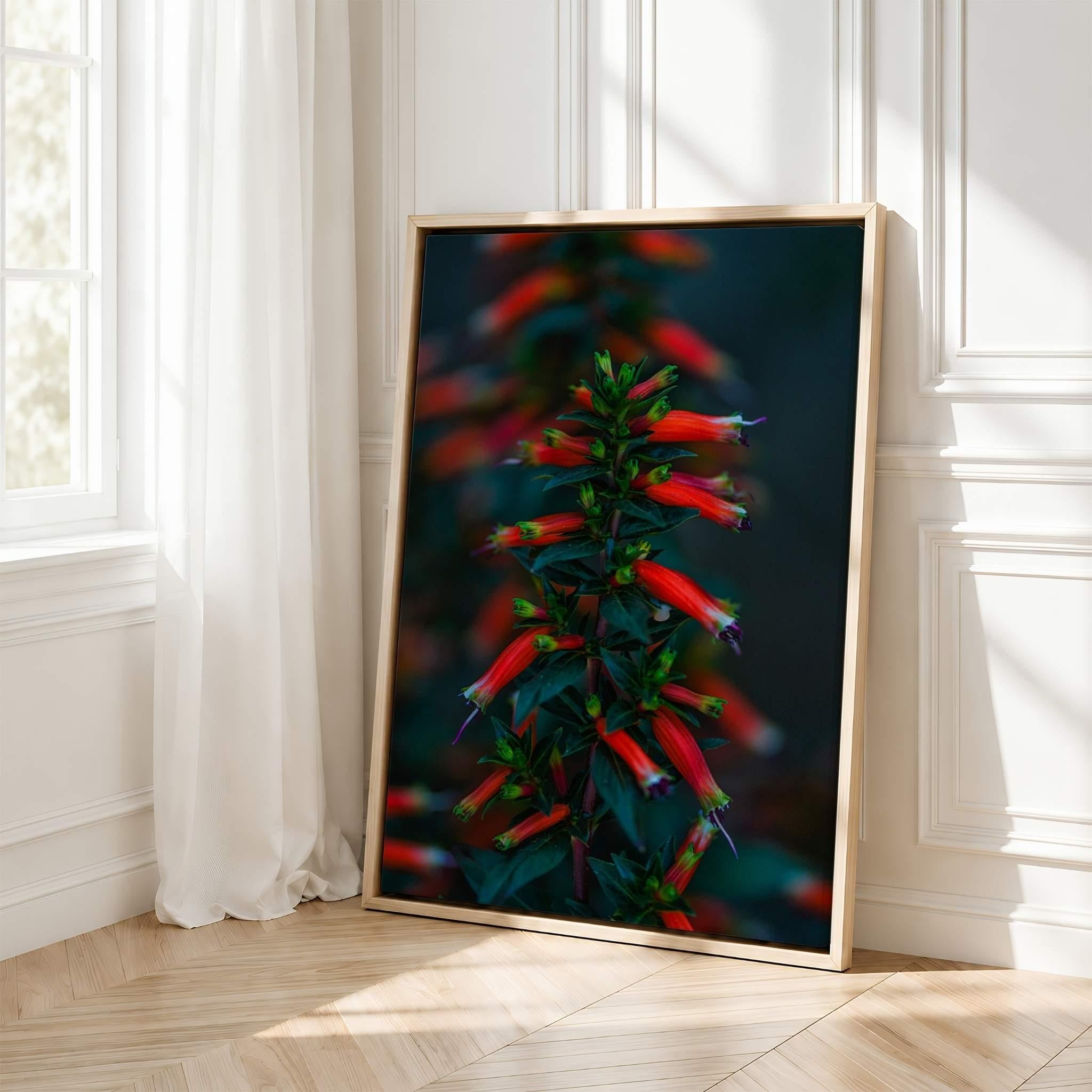 Large framed Crimson Whispers at Twilight botanical print leaning against a wall in a bright minimalist interior, showcasing the vibrant firecracker plant photograph by Abigail Diane Photography.