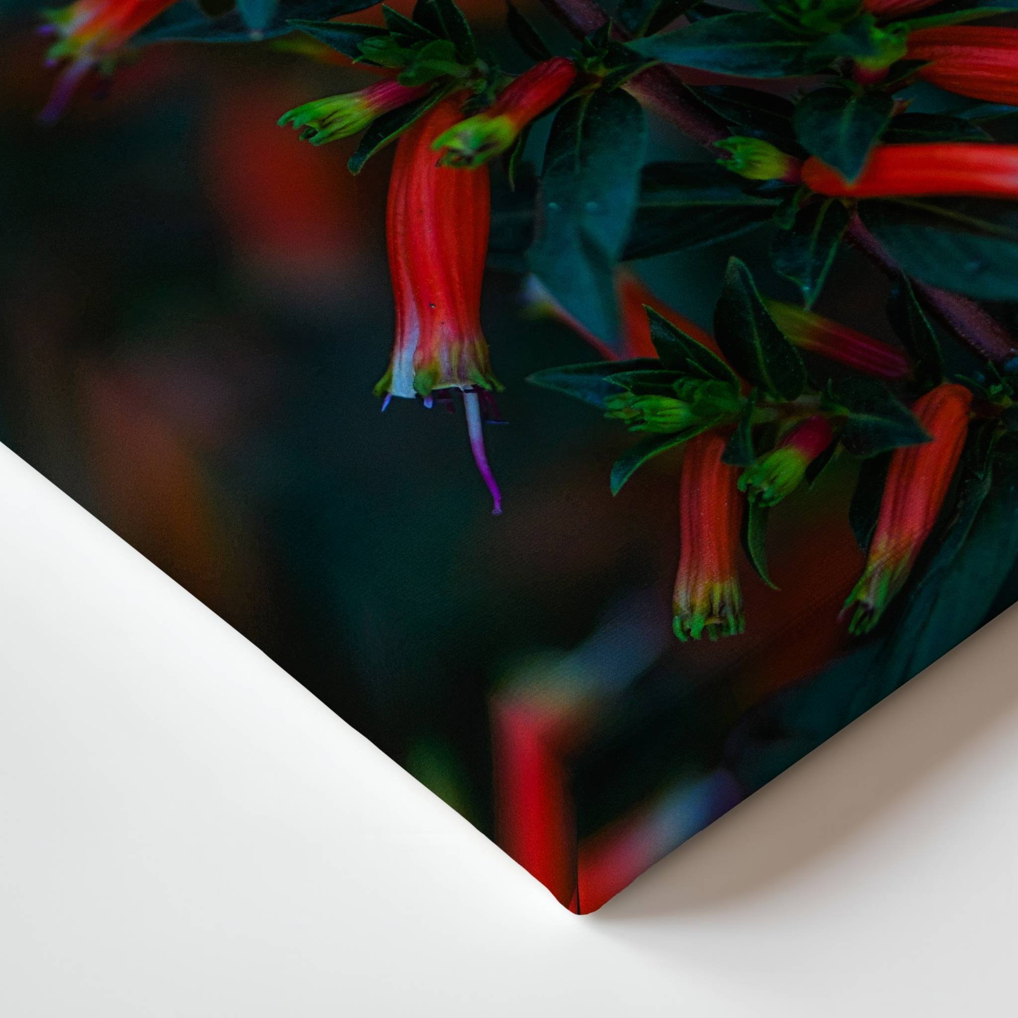 Close-up of a gallery wrapped canvas showing Crimson Whispers at Twilight, highlighting the premium canvas texture, wrapped edges, and rich botanical colors of the fine art print