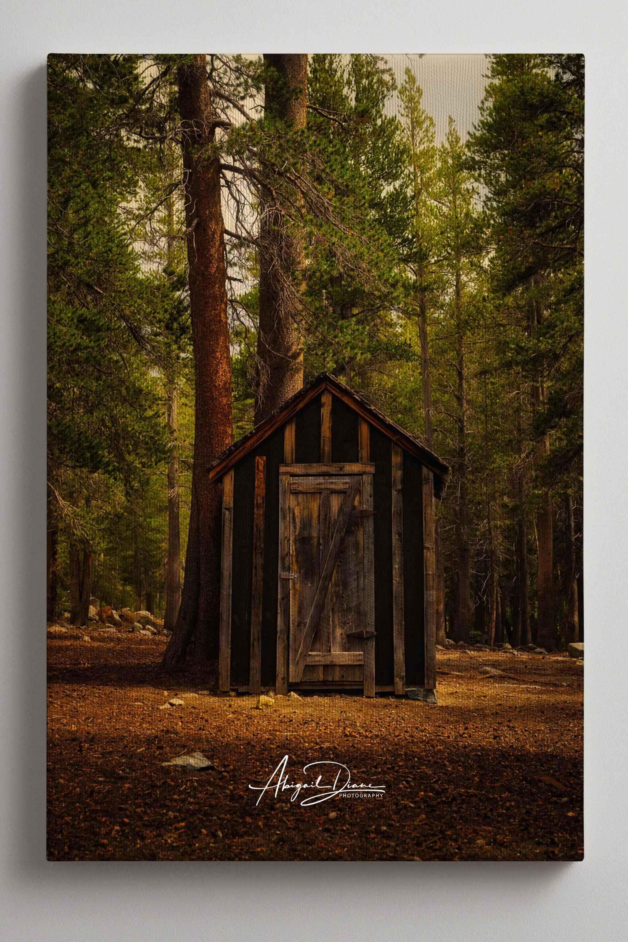 Rustic Remnant Among the Trees giclée gallery-wrapped canvas featuring a weathered wooden cabin surrounded by towering pines in the Eastern Sierra, California.