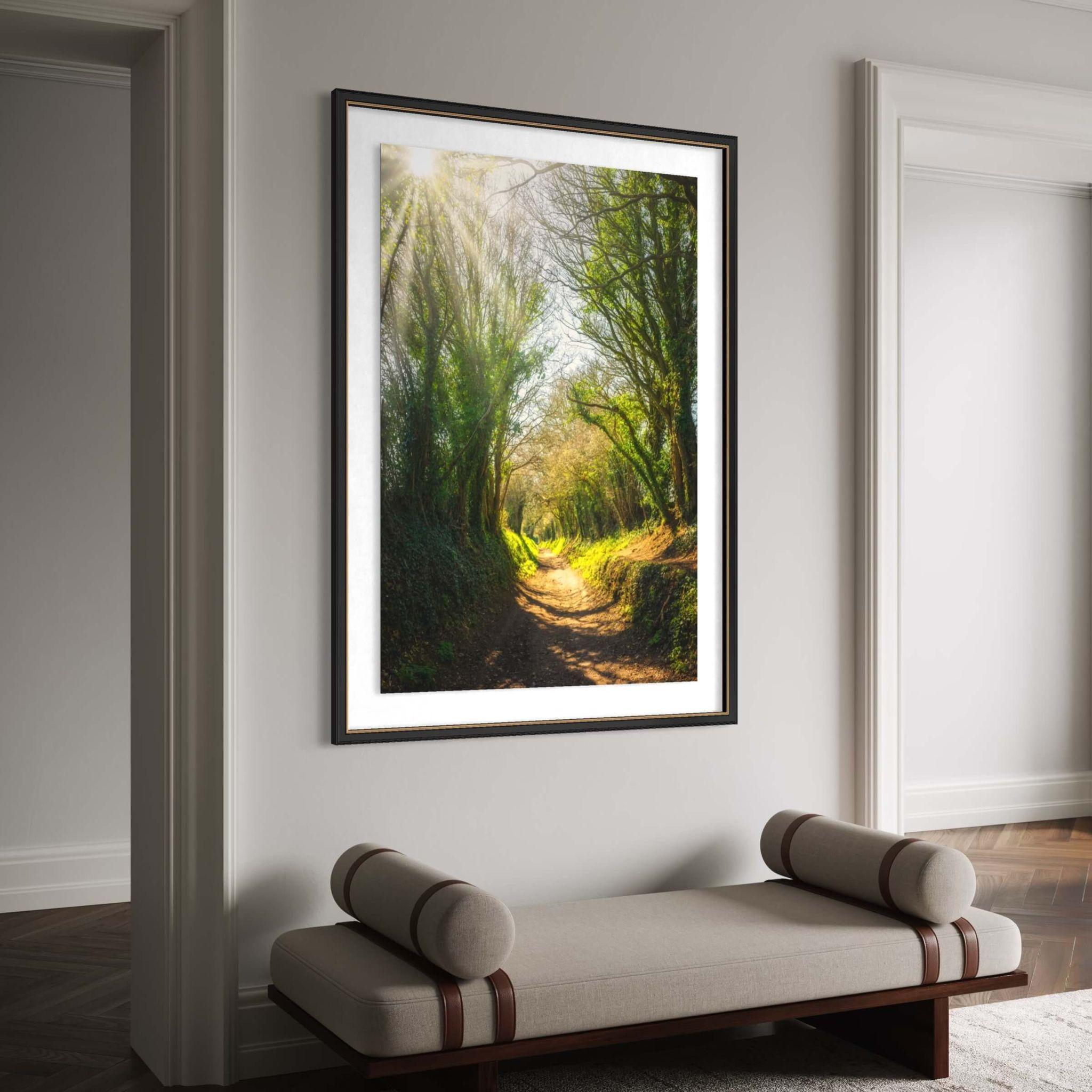 Black framed Halnaker Tree Tunnel fine art print by Abigail Diane Photography displayed above a modern upholstered entryway bench in a light-filled hallway. The historic tree tunnel in West Sussex, England adds a calming woodland focal point to contemporary home décor.